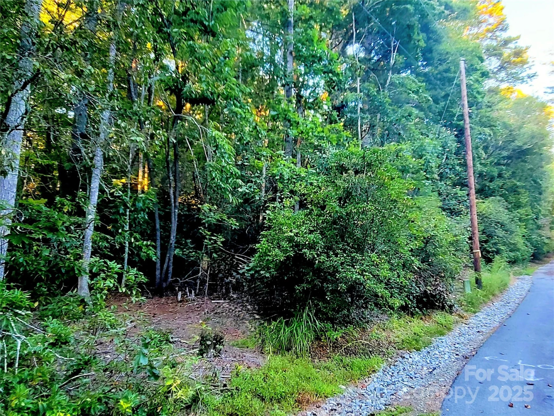 0 Joyful Lane - Photo 5
