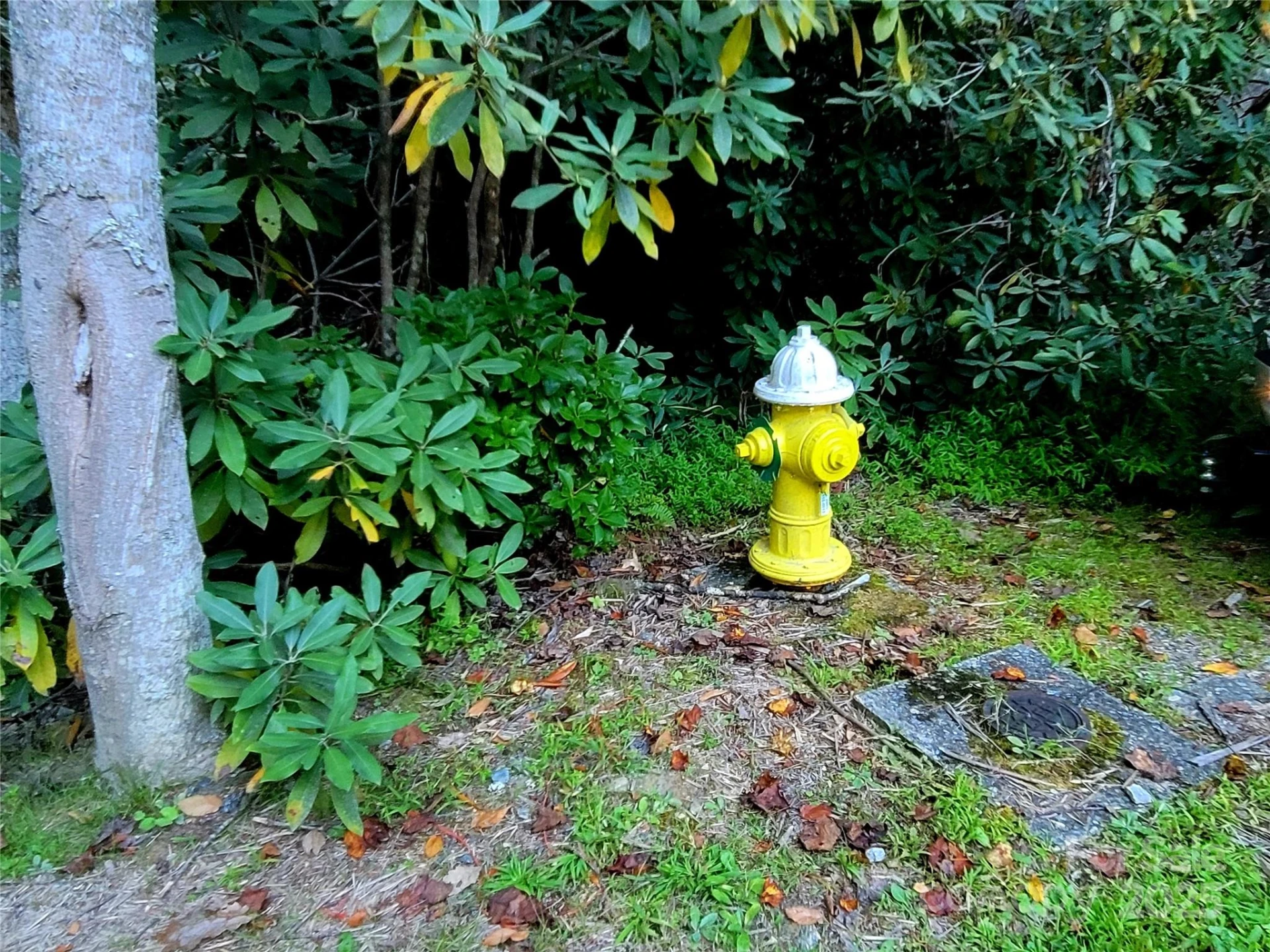 0 Joyful Lane - Photo 6