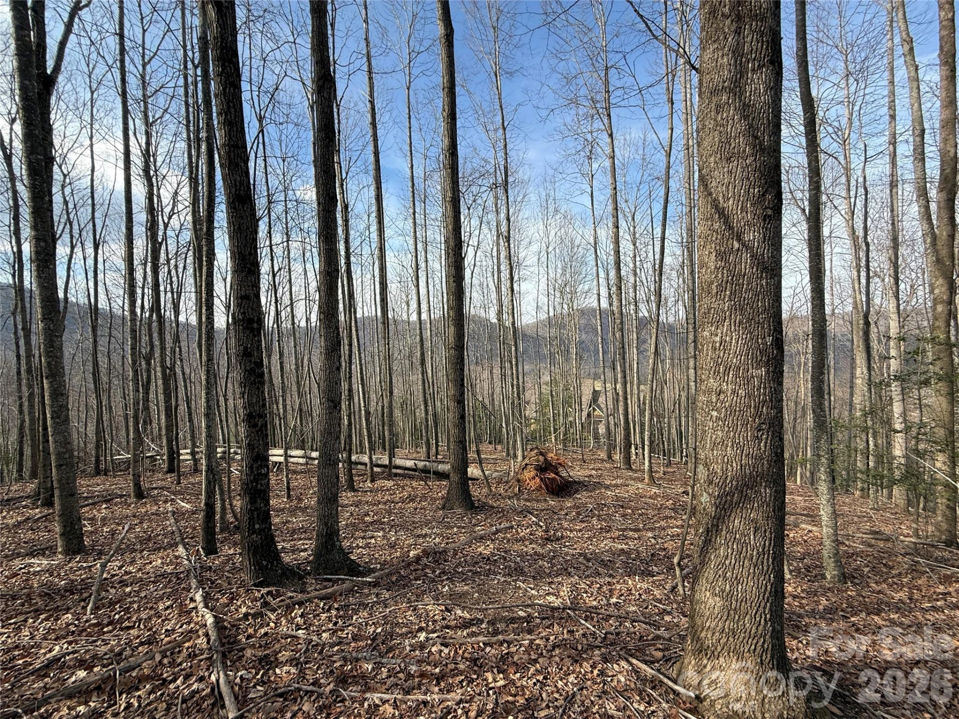 1029 Chippawa Drive #67 - Photo 12