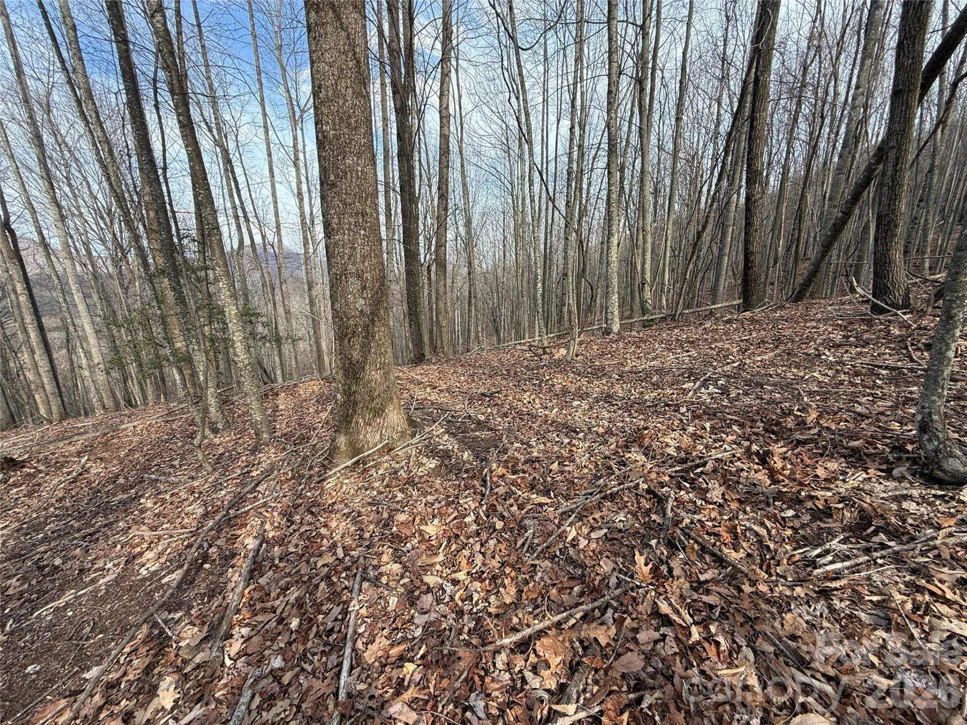 1029 Chippawa Drive #67 - Photo 7
