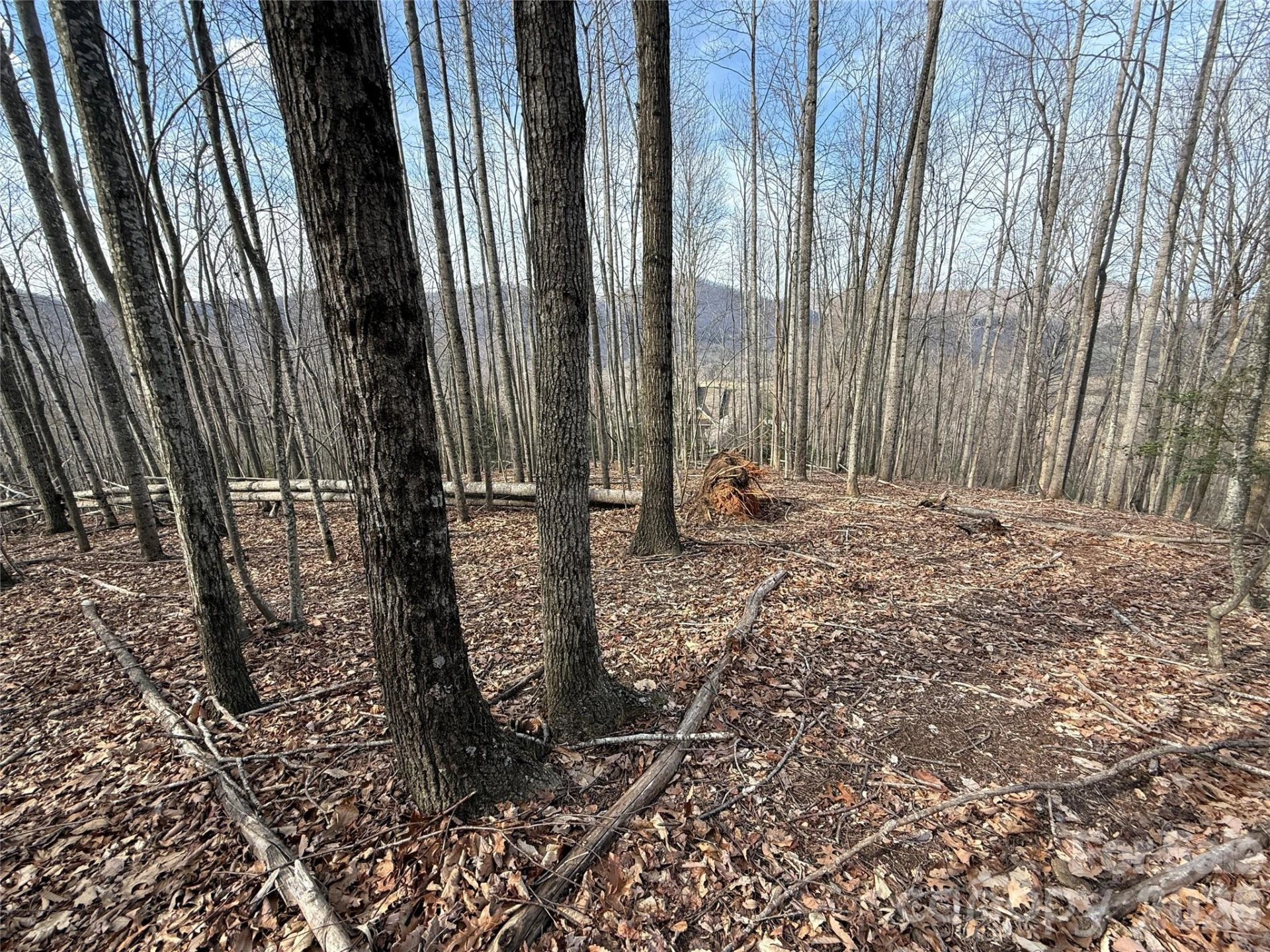 1029 Chippawa Drive #67 - Photo 8