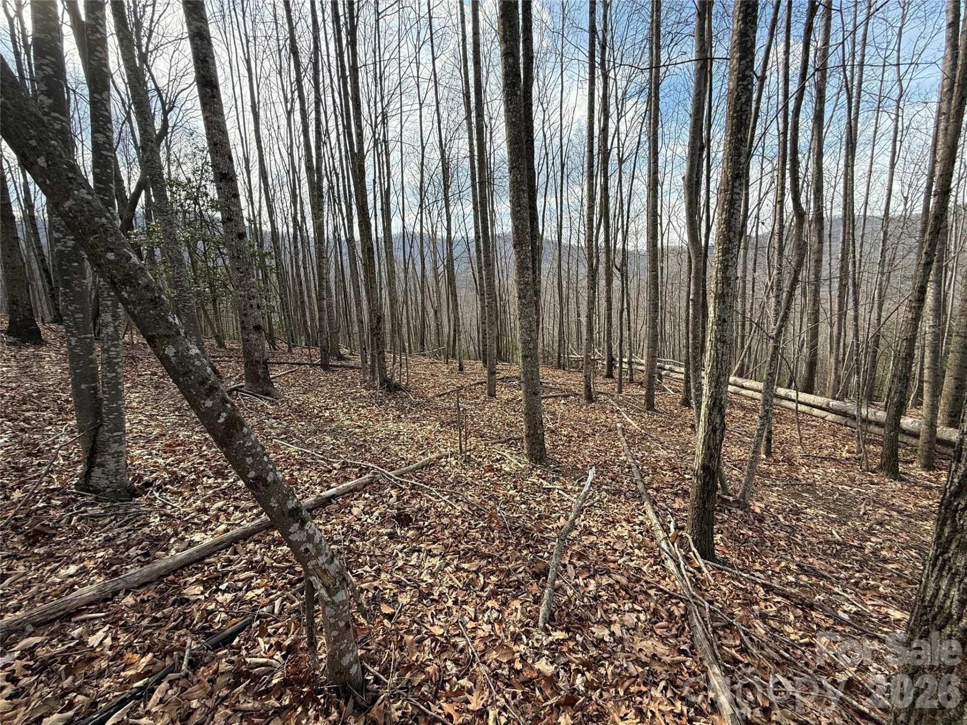 1029 Chippawa Drive #67 - Photo 9