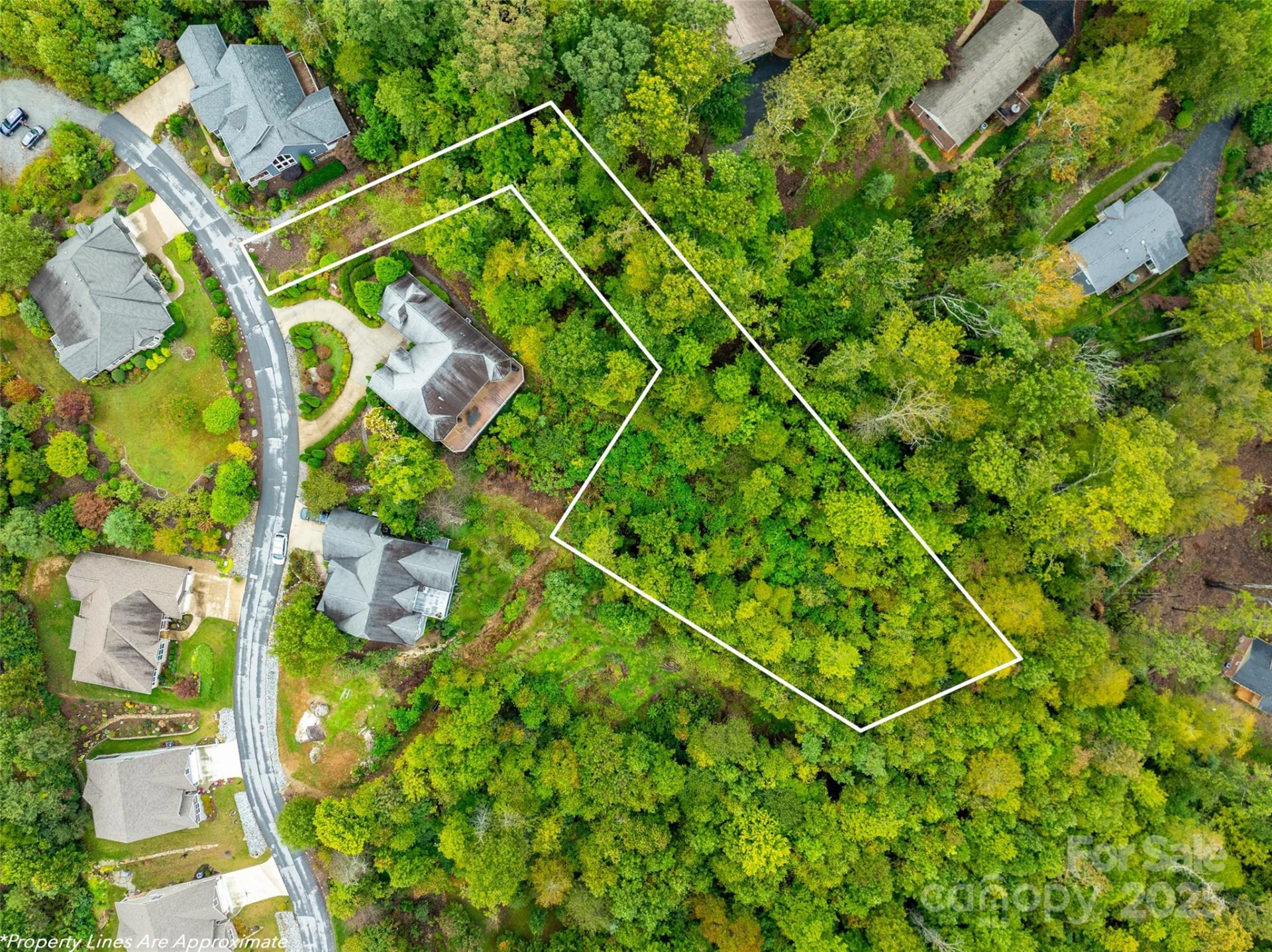 332 Millbrae Loop - Photo 2