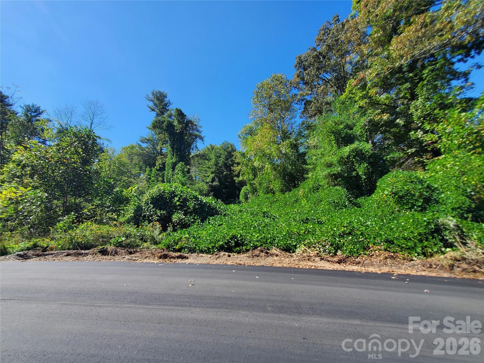 62 Oscelake Way - Photo 8