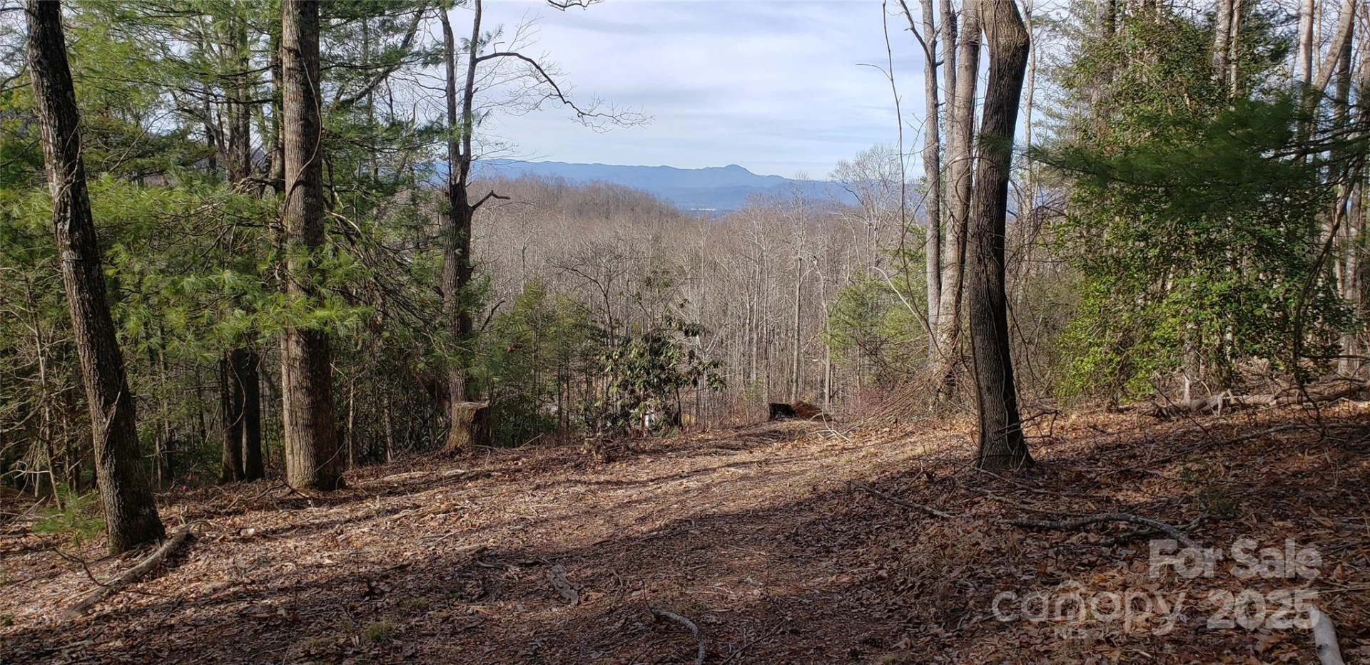 00 Bearwallow Mountain Drive #191 - Photo 6