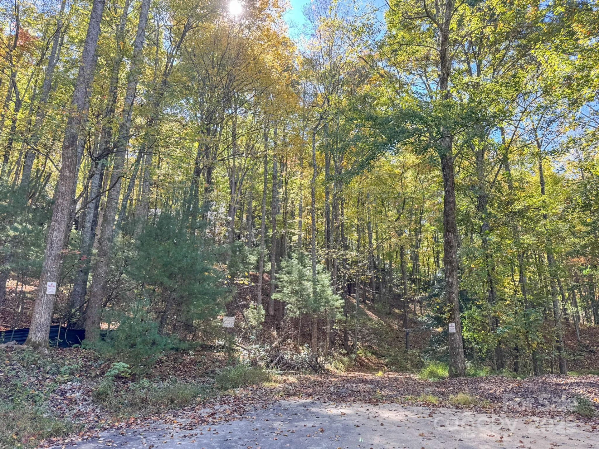 345 Christa Lane - Photo 15