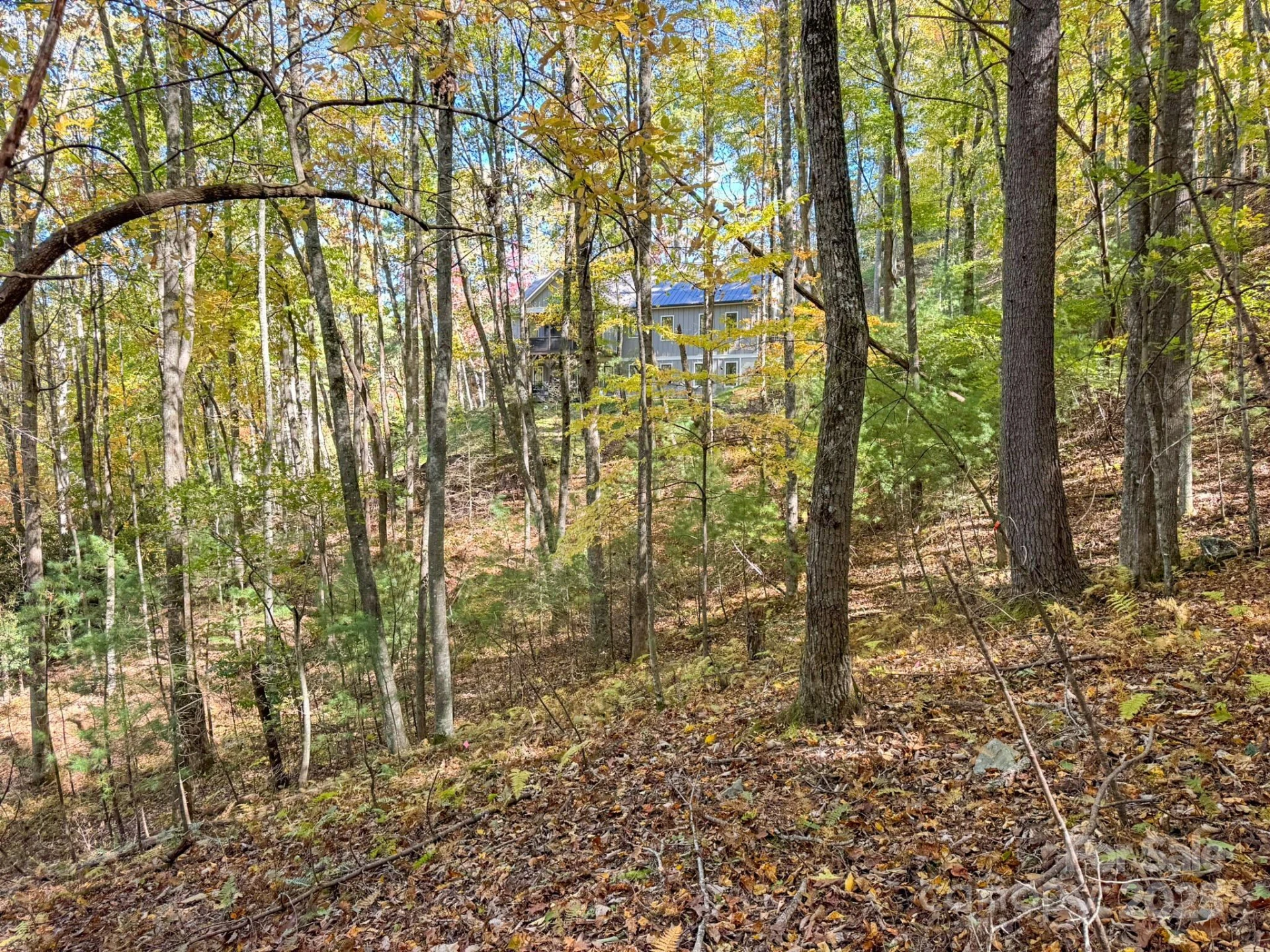 345 Christa Lane - Photo 4