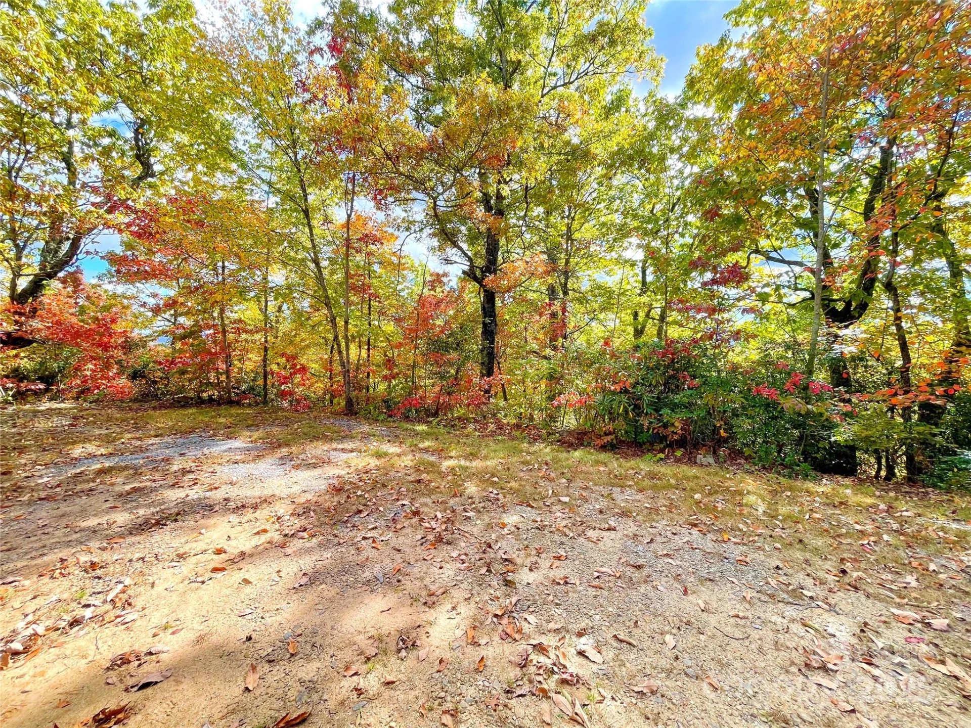 57 Grouse Ridge Drive - Photo 16