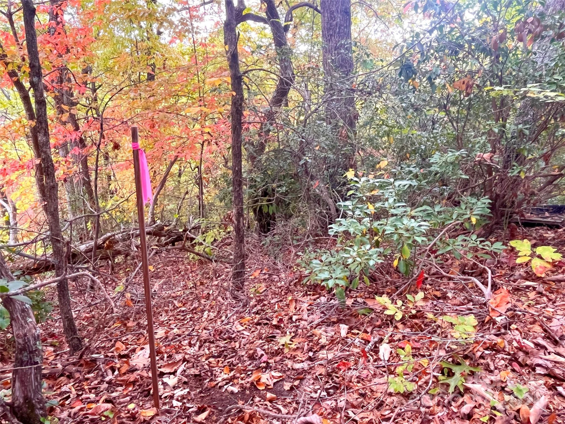 57 Grouse Ridge Drive - Photo 22