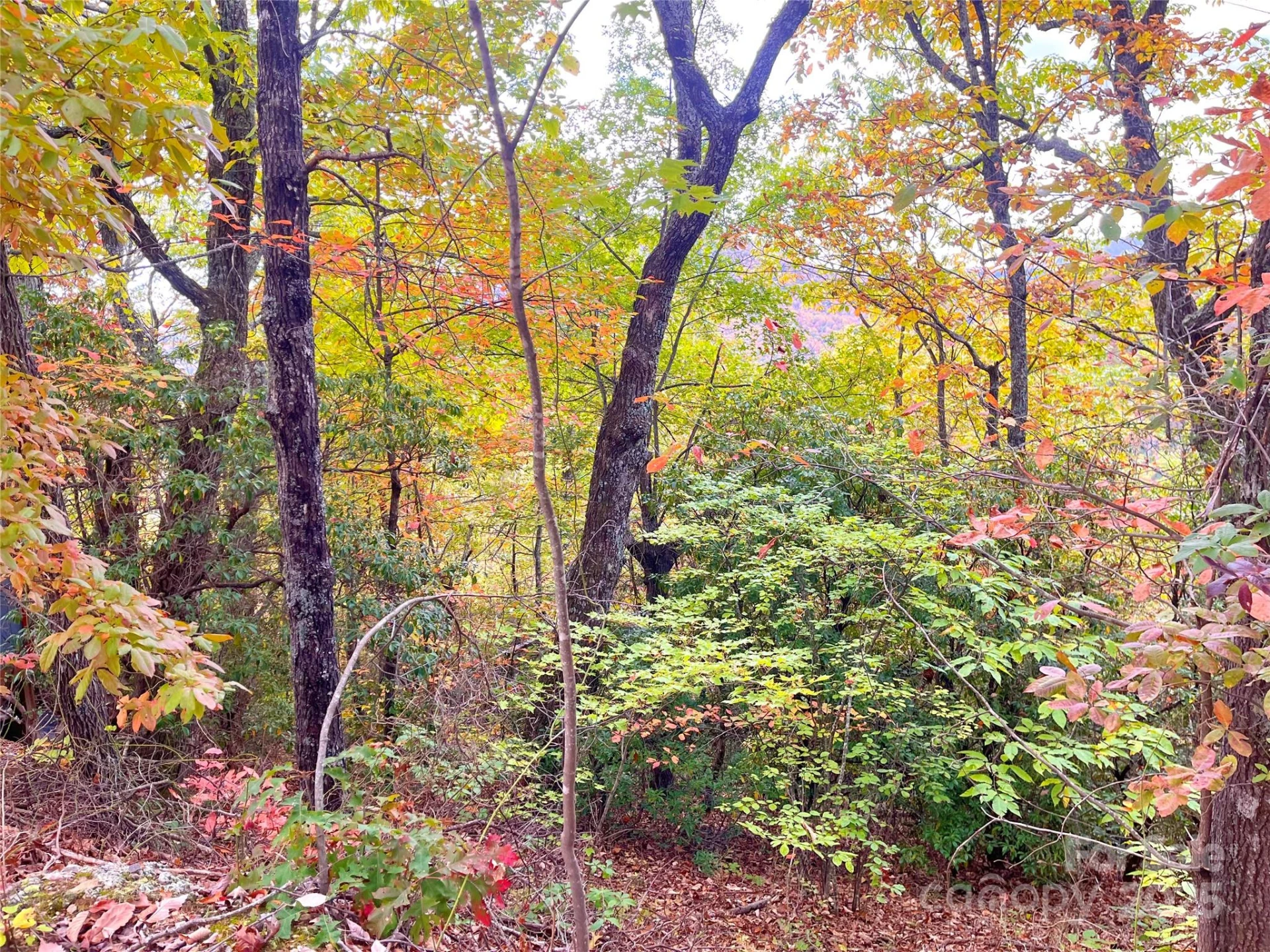 57 Grouse Ridge Drive - Photo 24