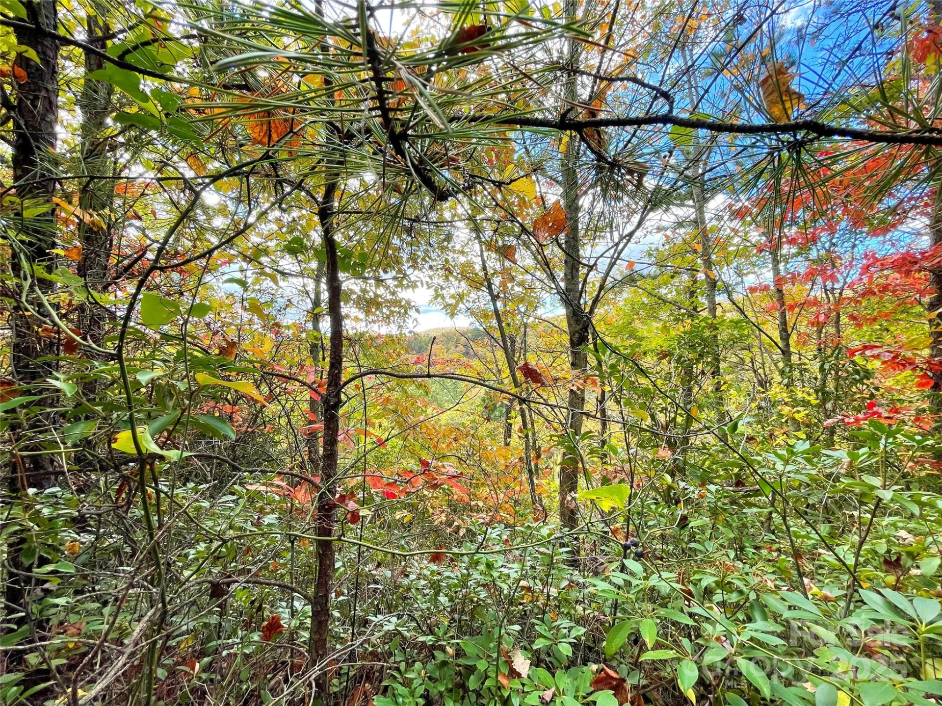 57 Grouse Ridge Drive - Photo 31