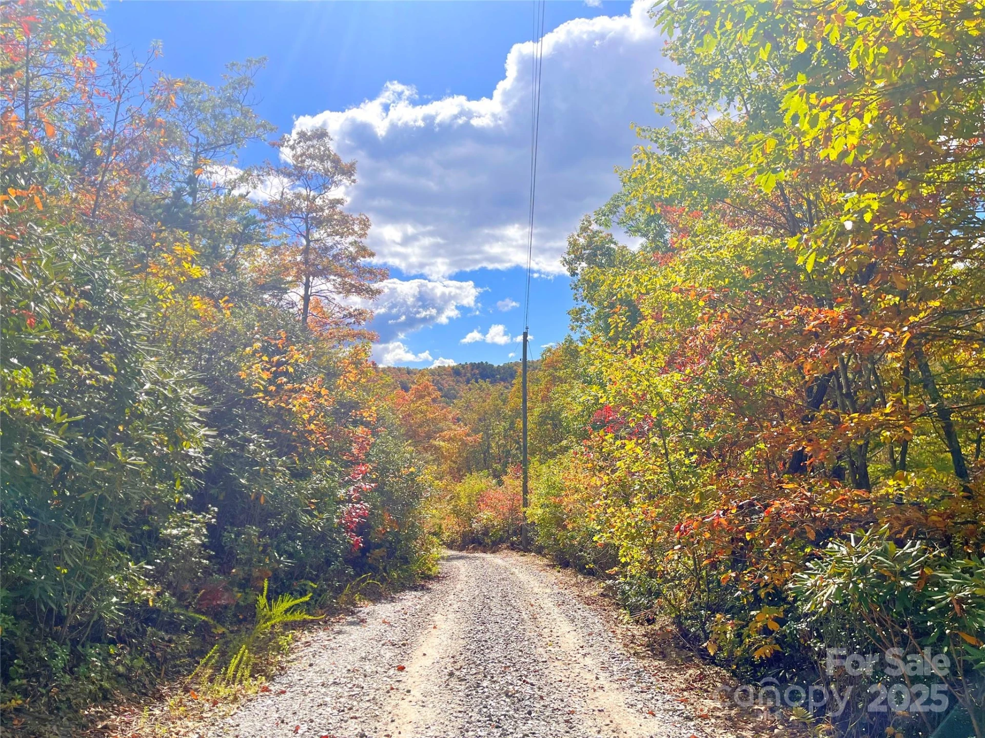 57 Grouse Ridge Drive - Photo 39