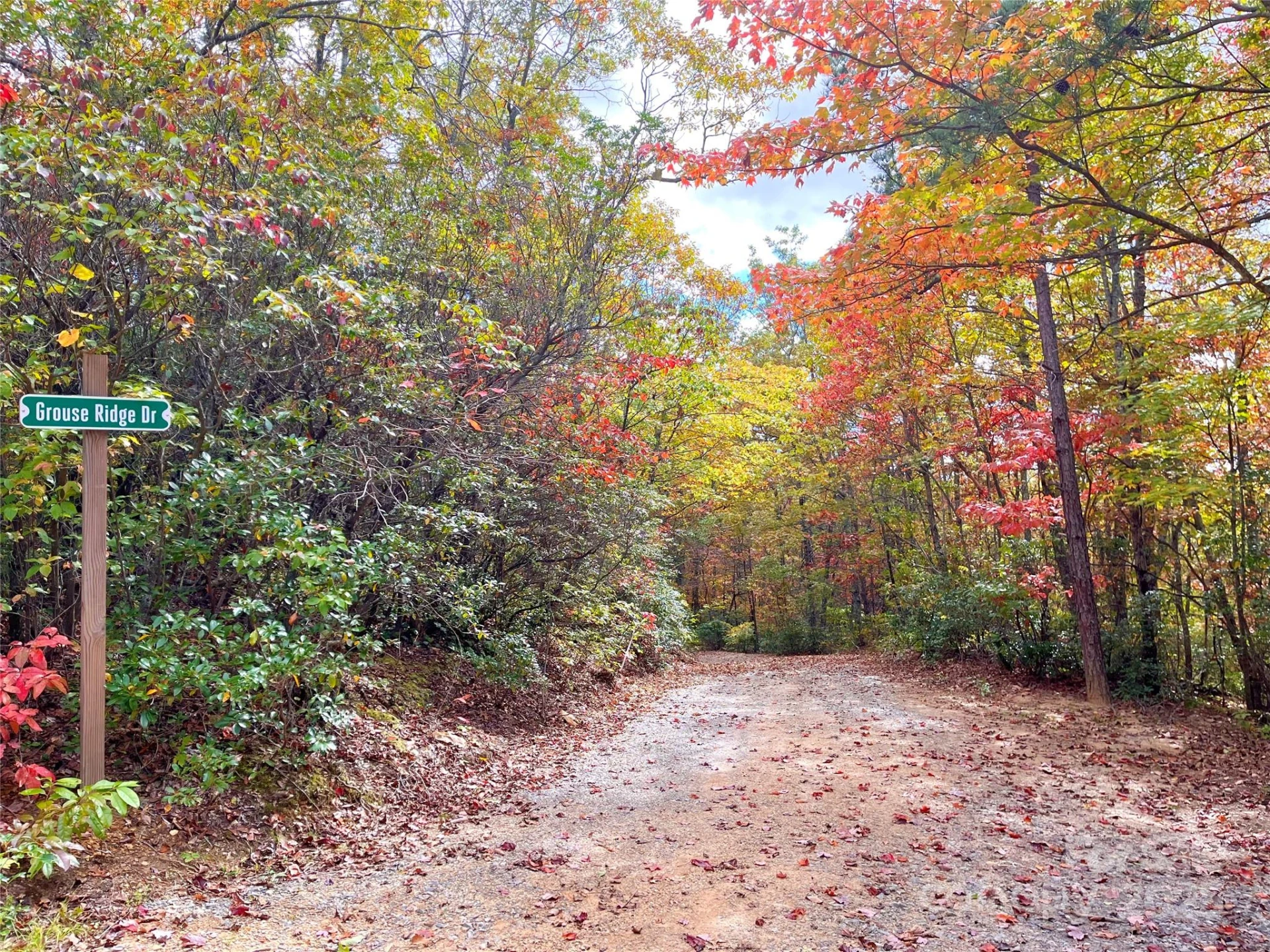 57 Grouse Ridge Drive - Photo 9