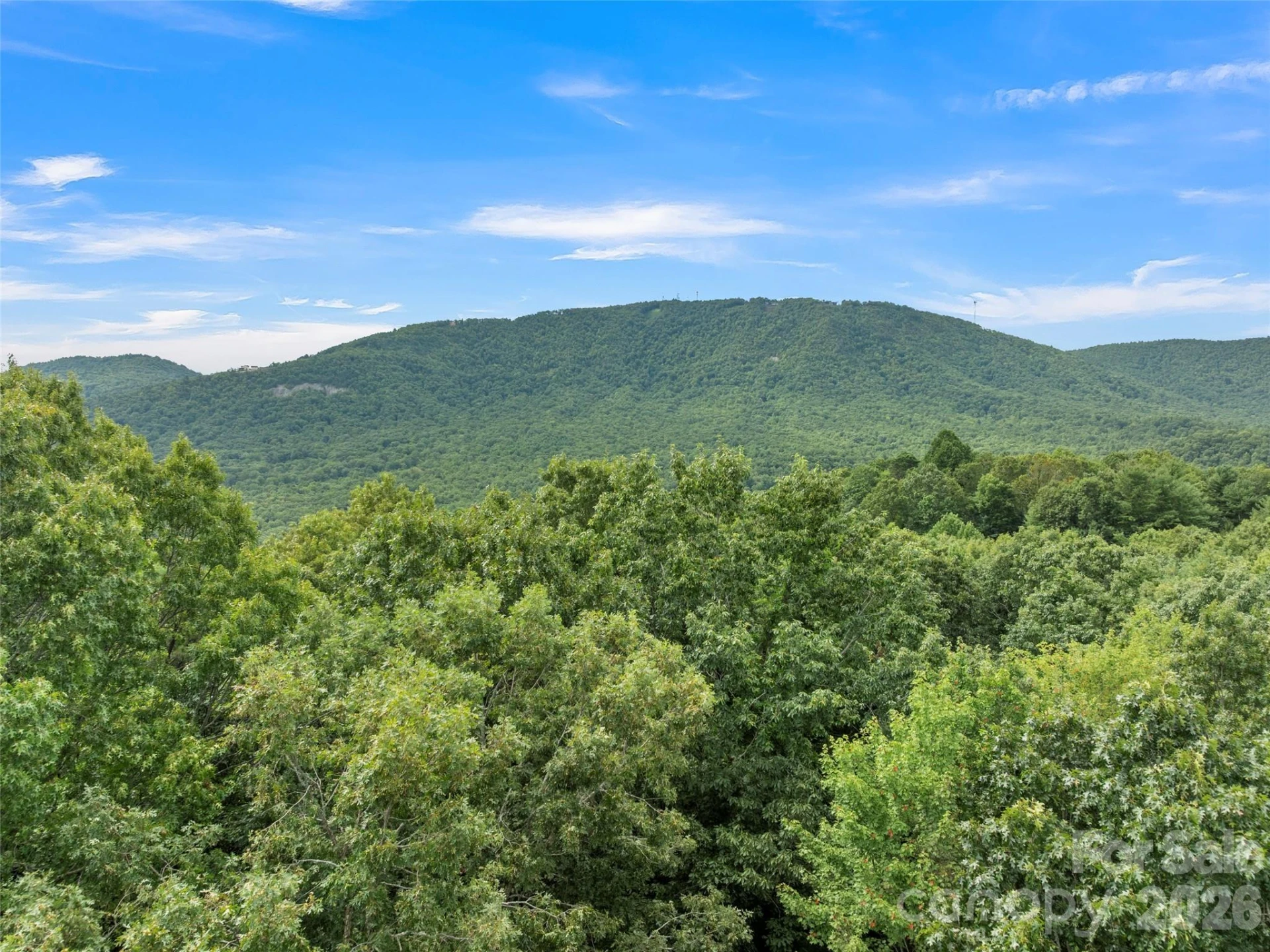 812 Crab Creek Road - Photo 3
