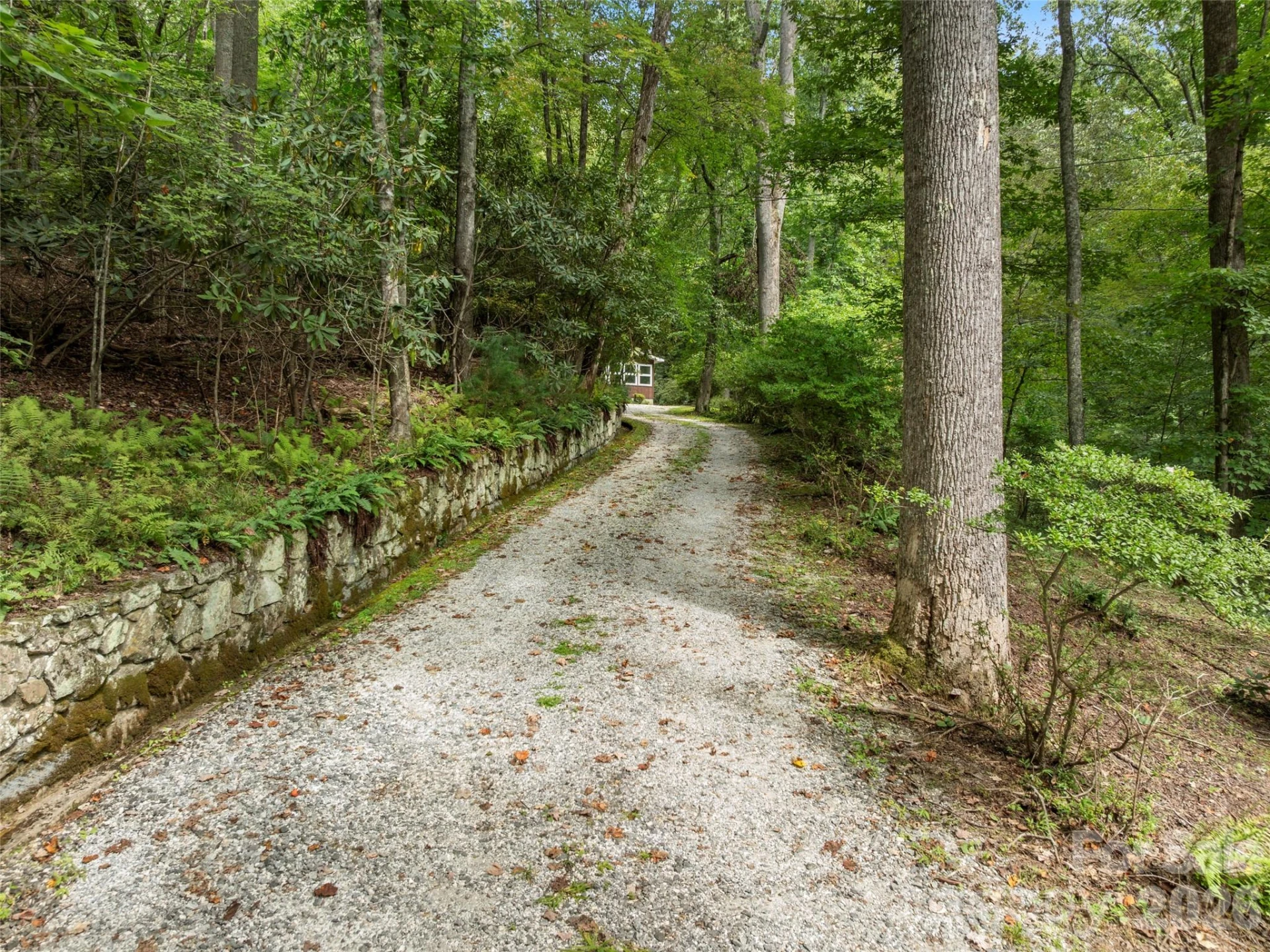812 Crab Creek Road - Photo 9