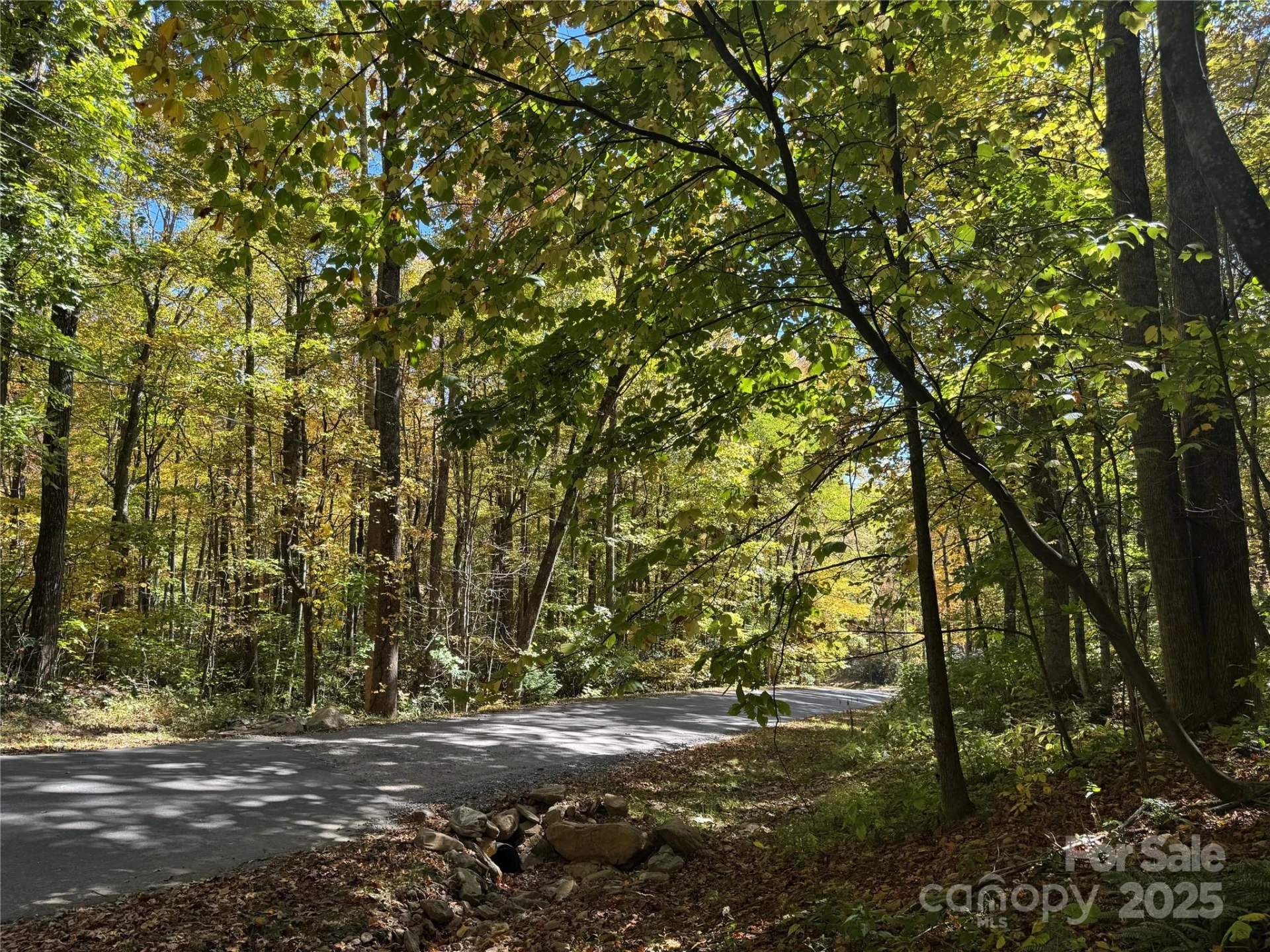12 Laurel Branch Drive - Photo 8