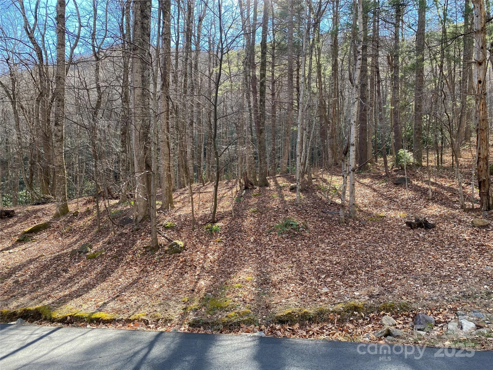 12 Laurel Branch Drive - Photo 9