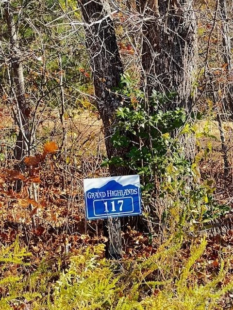 Lot 117 Autumn Sky Drive - Photo 7
