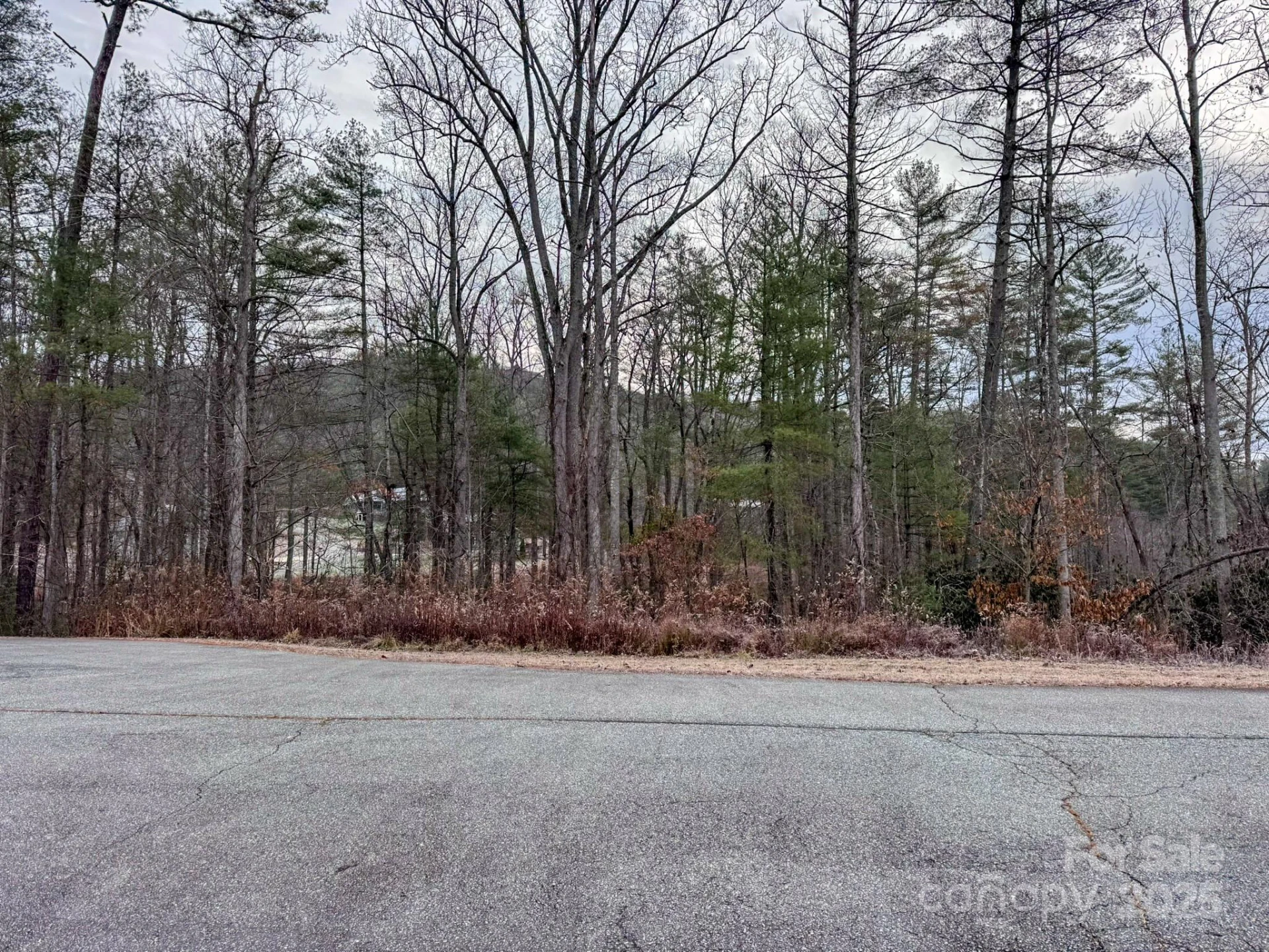 62 Crystal Cove Drive #4 - Photo 17