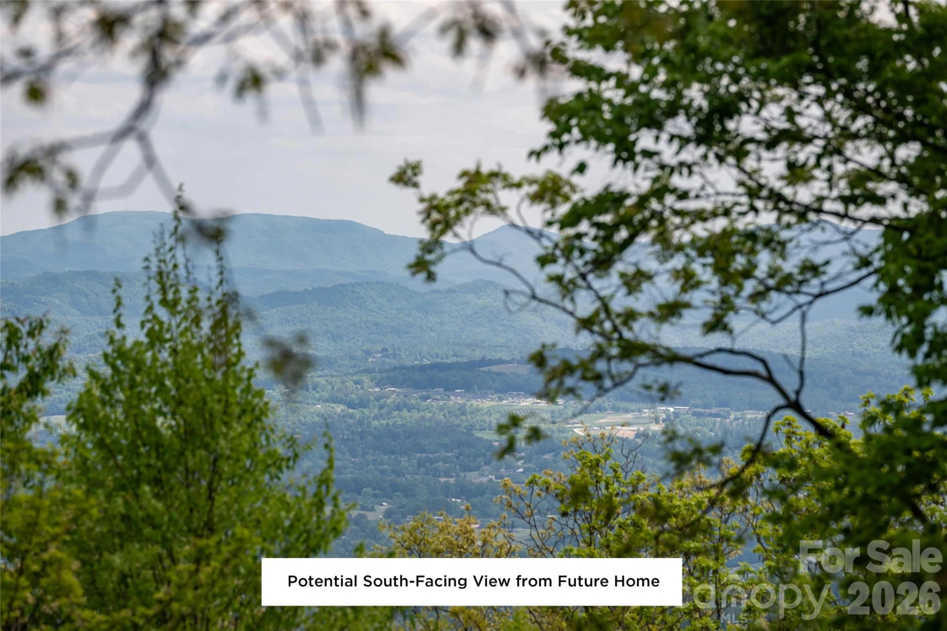 416 Summerset Drive #83 - Photo 2