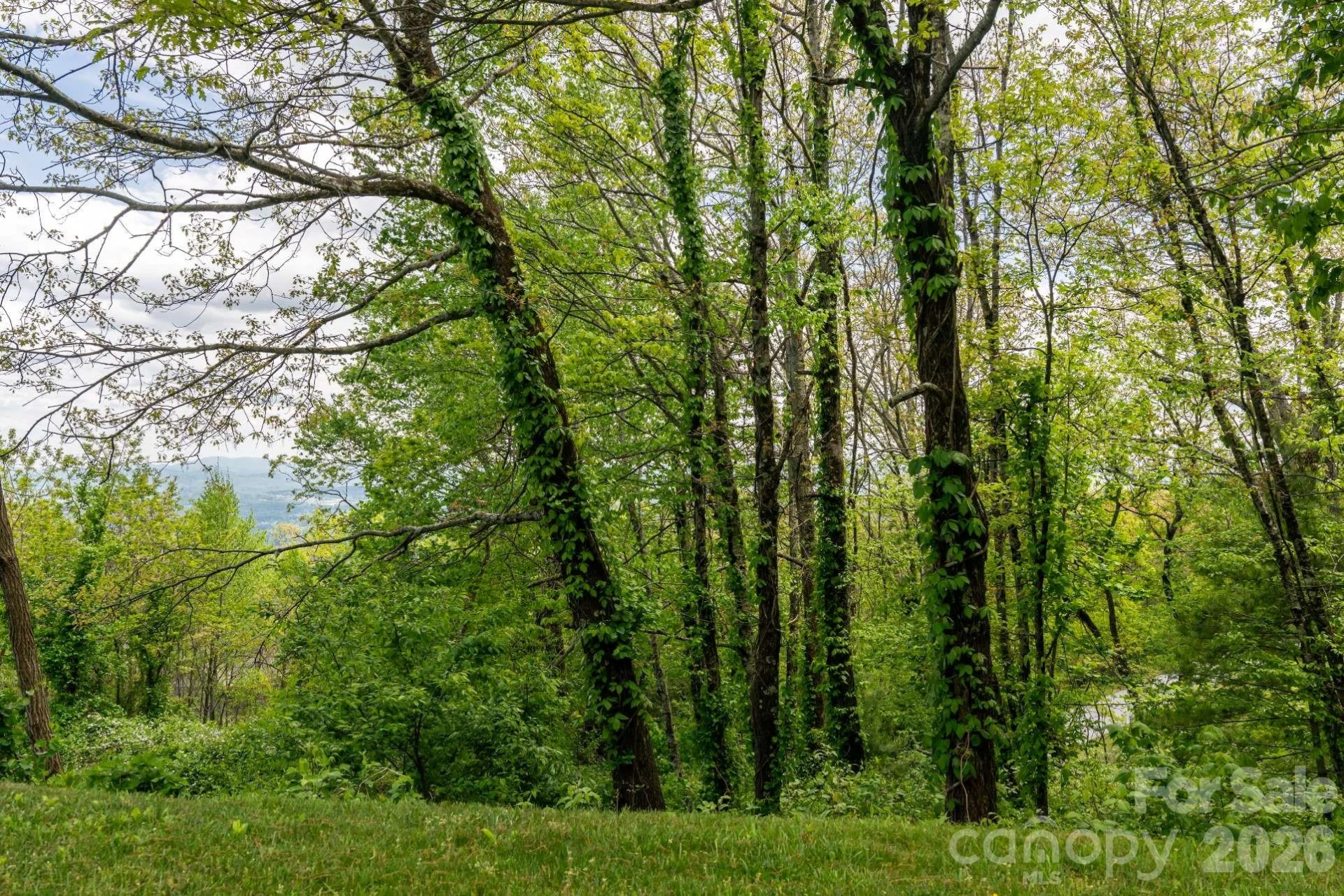 416 Summerset Drive #83 - Photo 16