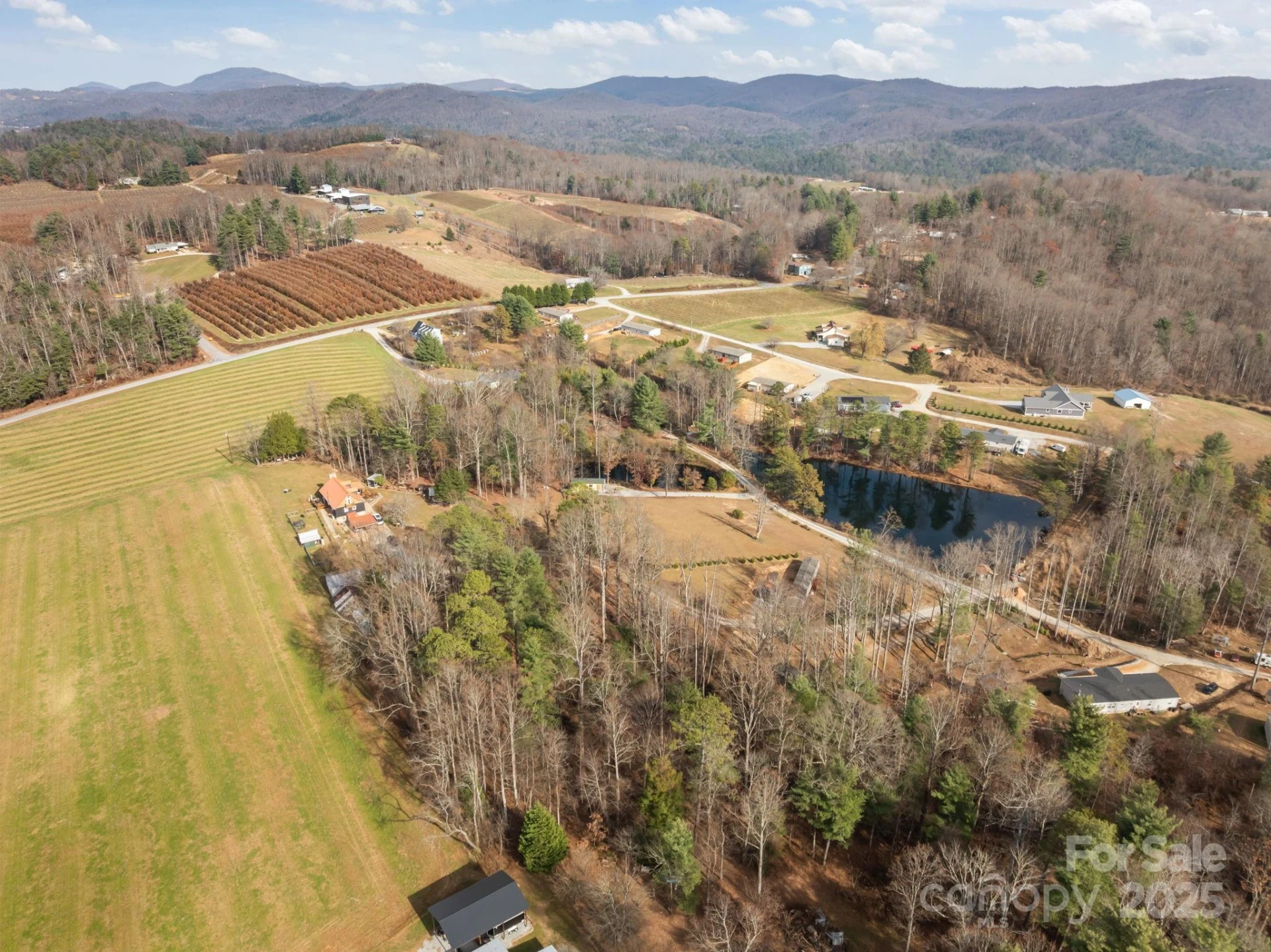 99999 Twin Lakes Drive - Photo 8