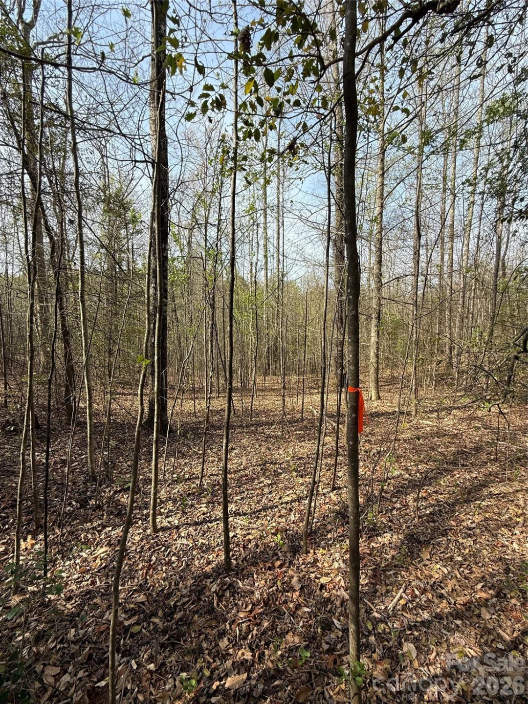 Lot # 4 West Legacy Drive #4 - Photo 32
