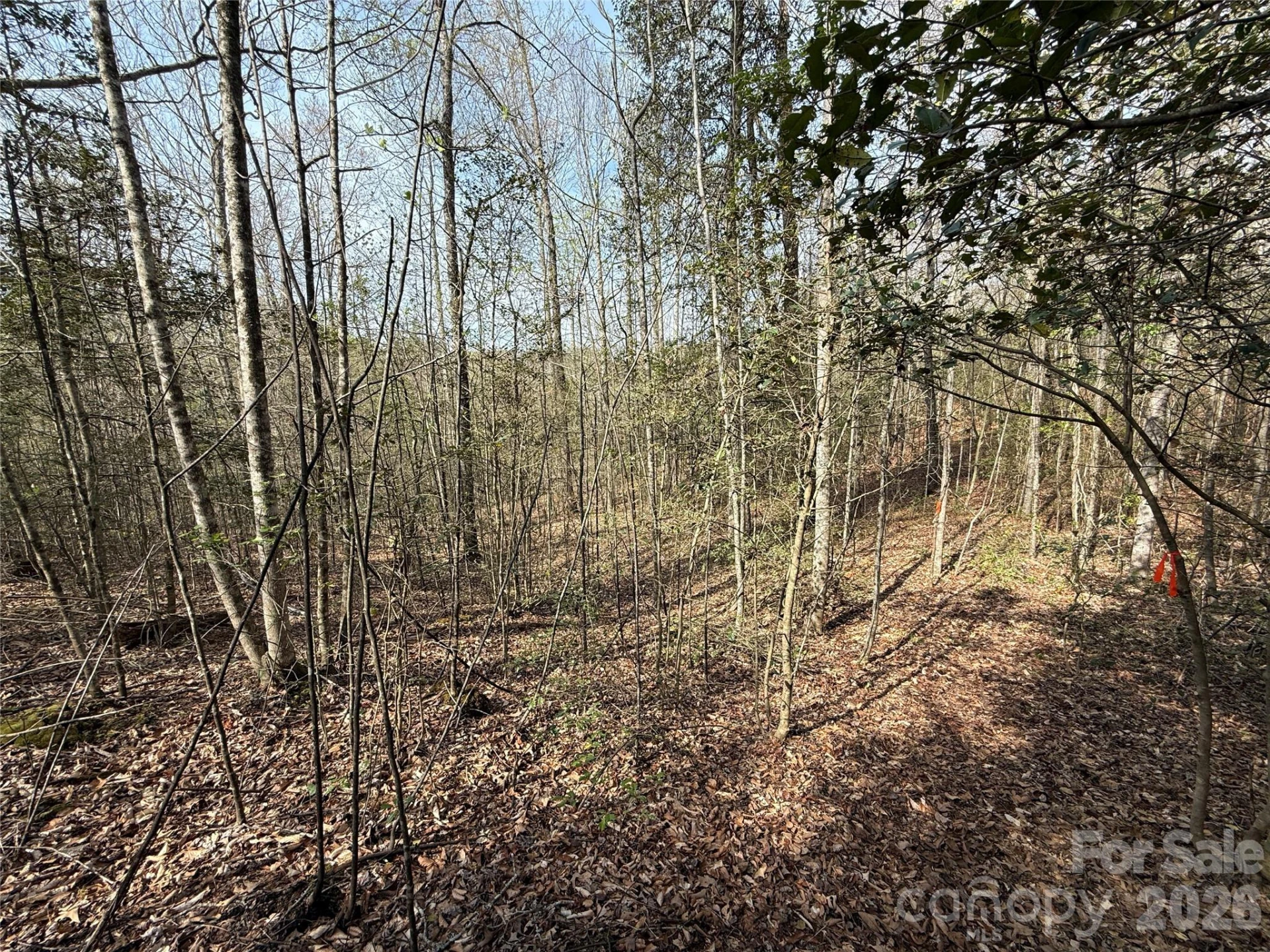 Lot # 4 West Legacy Drive #4 - Photo 39