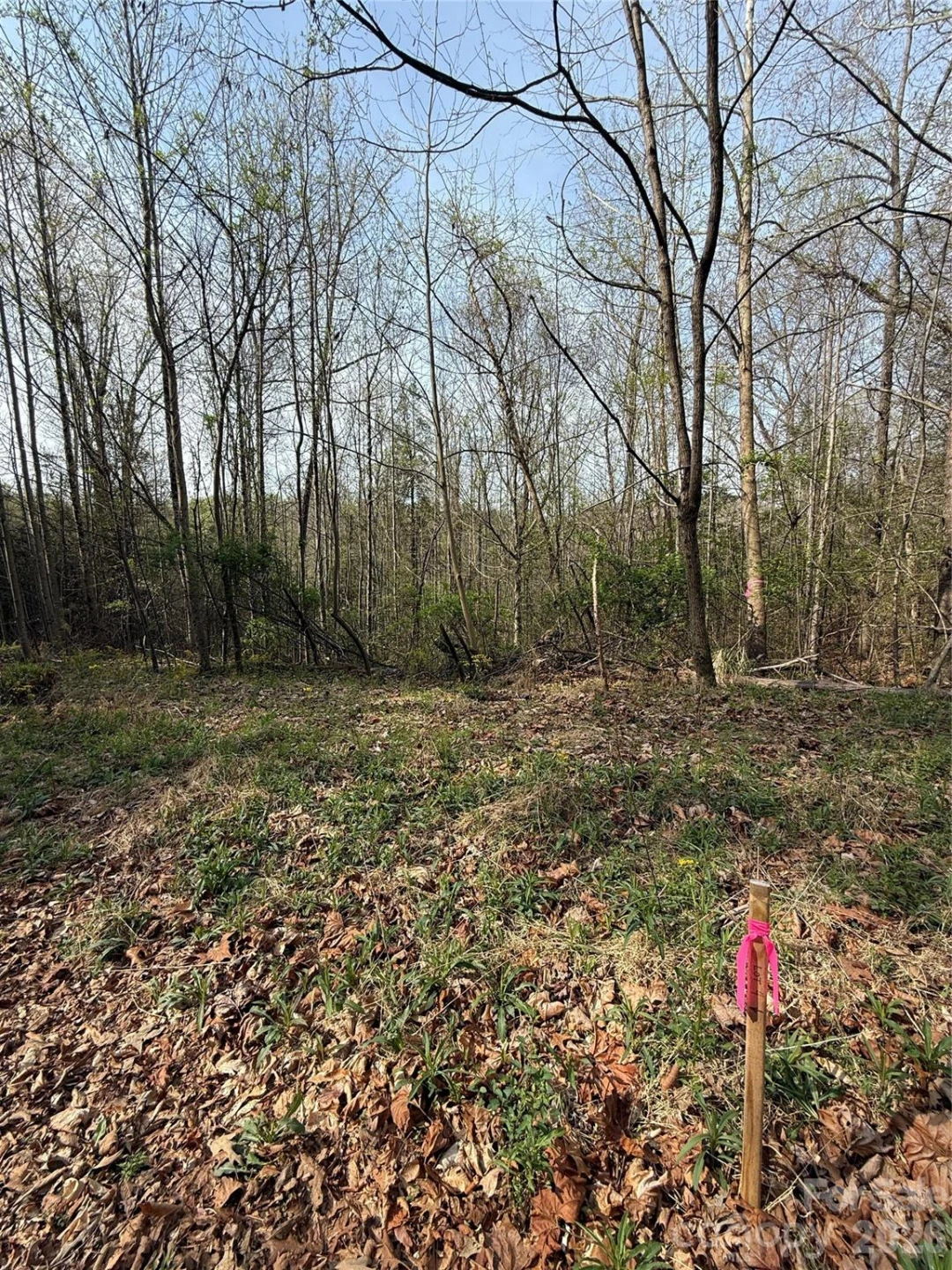 Lot # 4 West Legacy Drive #4 - Photo 58