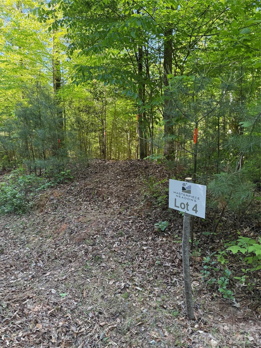 Lot # 4 West Legacy Drive #4 - Photo 12