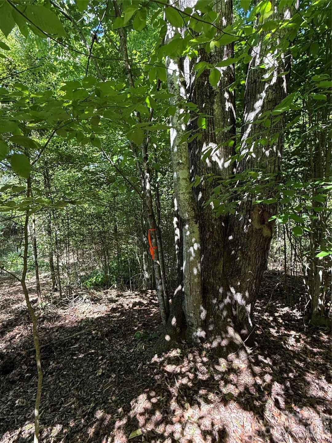 Lot # 4 West Legacy Drive #4 - Photo 21