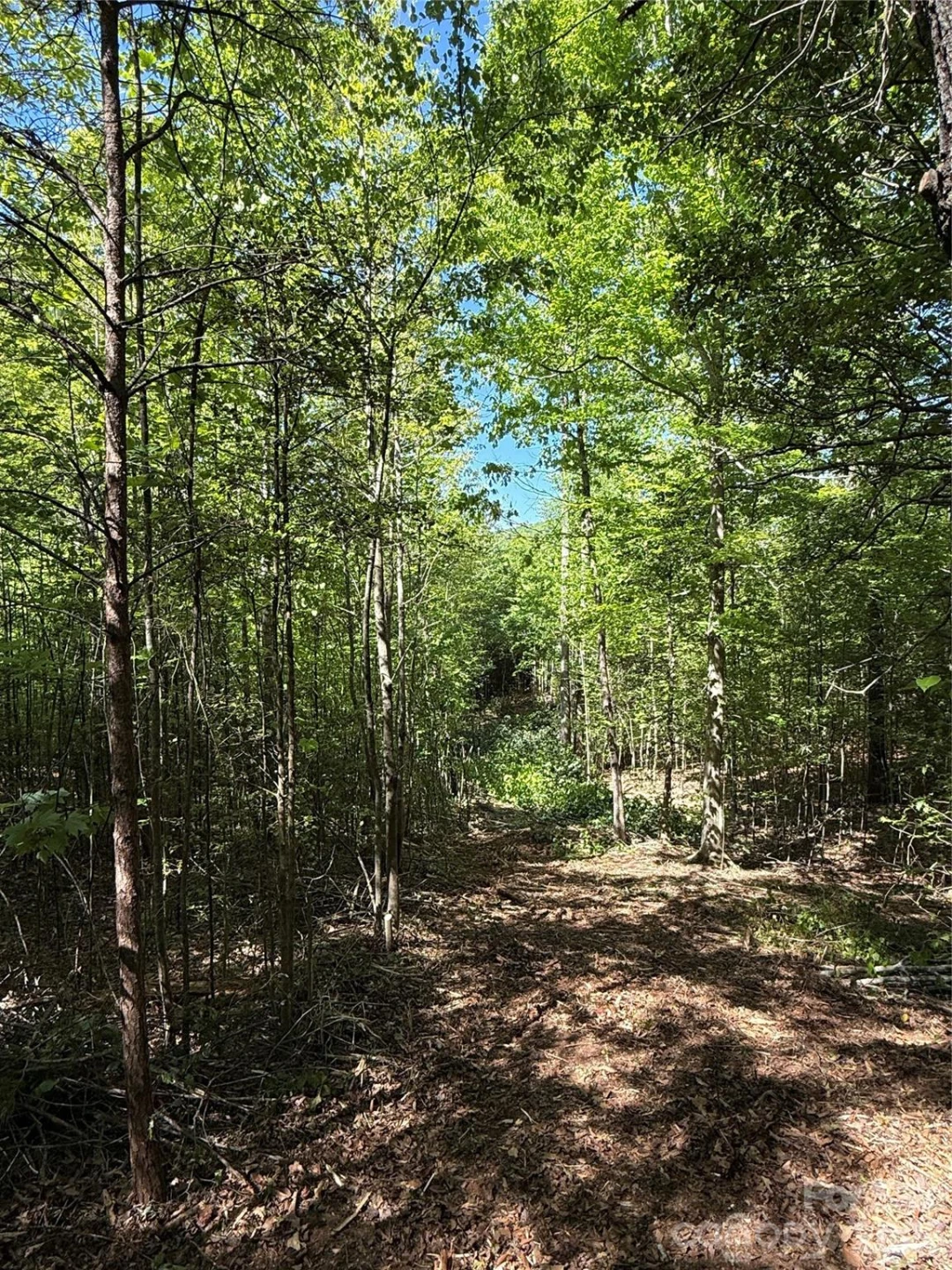 Lot # 4 West Legacy Drive #4 - Photo 24