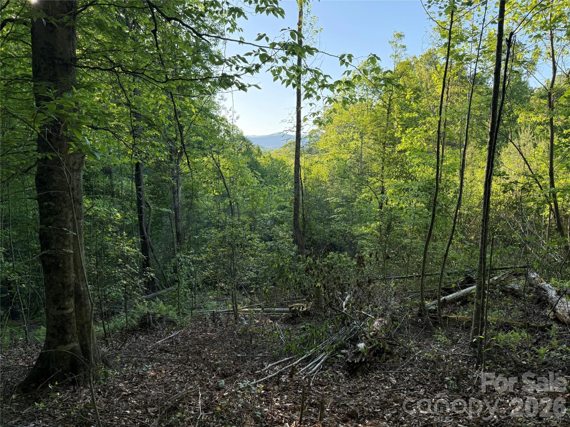 Lot # 6 West Legacy Drive #6 - Photo 33