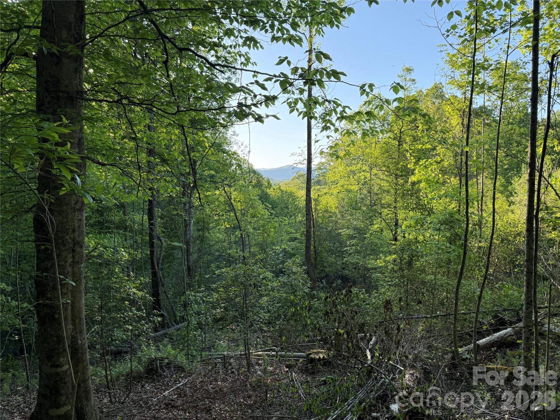 Lot # 6 West Legacy Drive #6 - Photo 36
