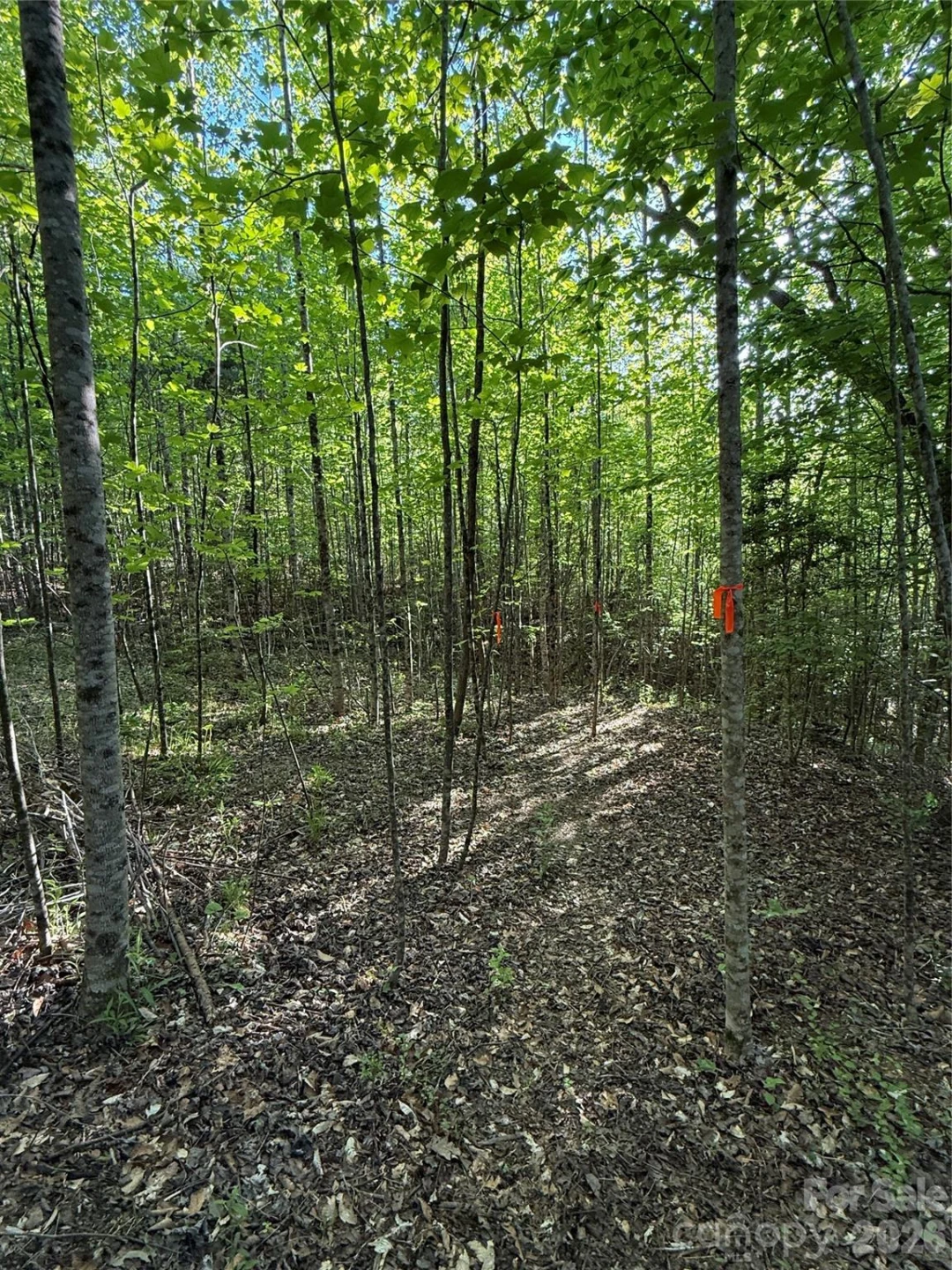 Lot # 6 West Legacy Drive #6 - Photo 71