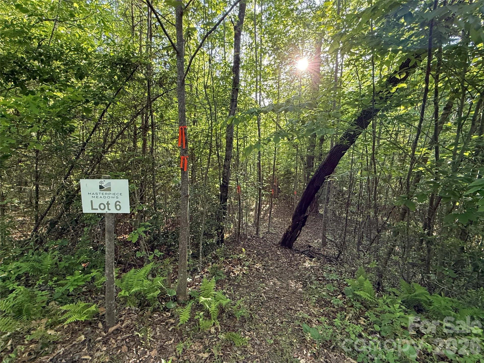 Lot # 6 West Legacy Drive #6 - Photo 10