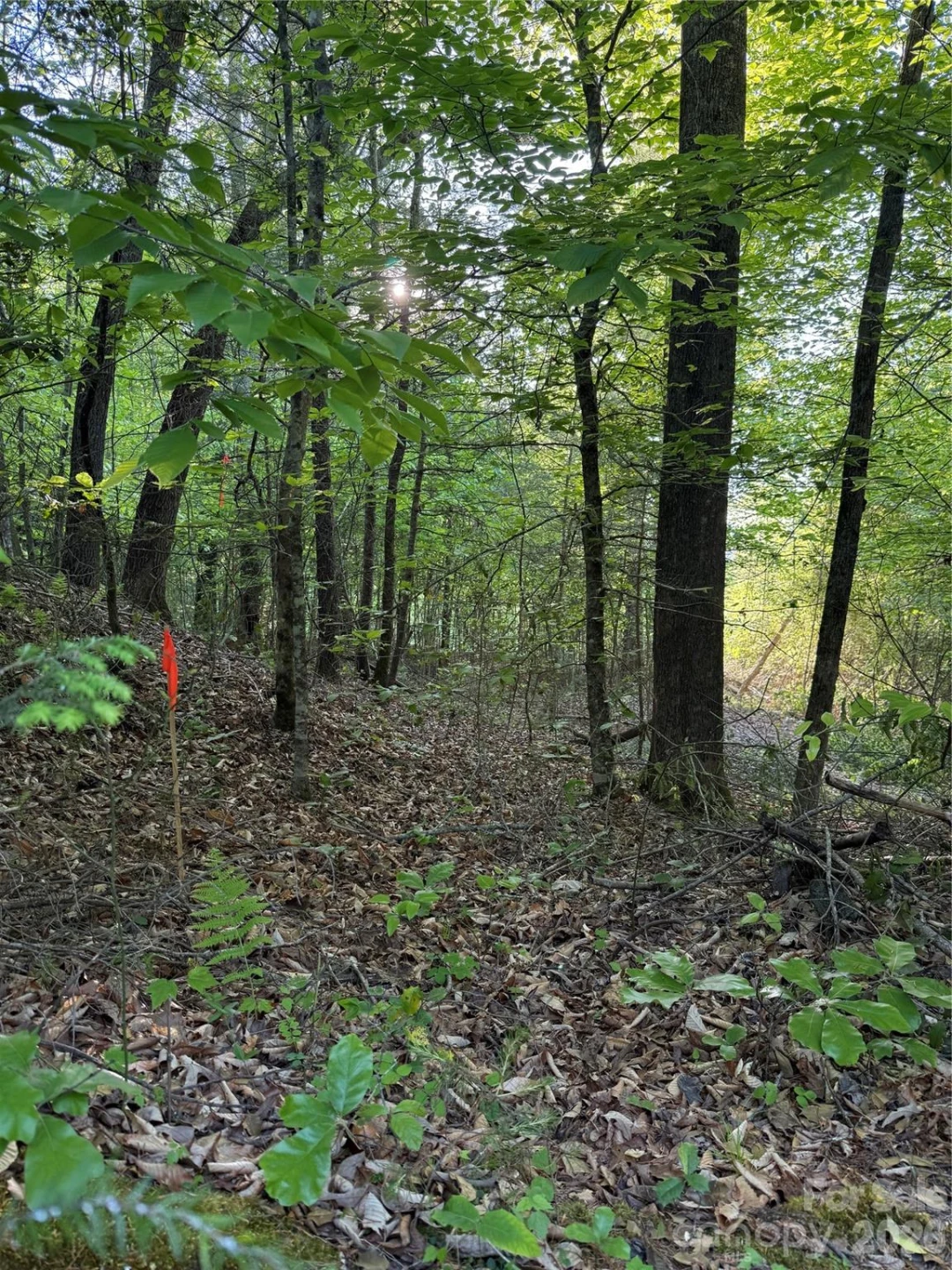 Lot # 6 West Legacy Drive #6 - Photo 18