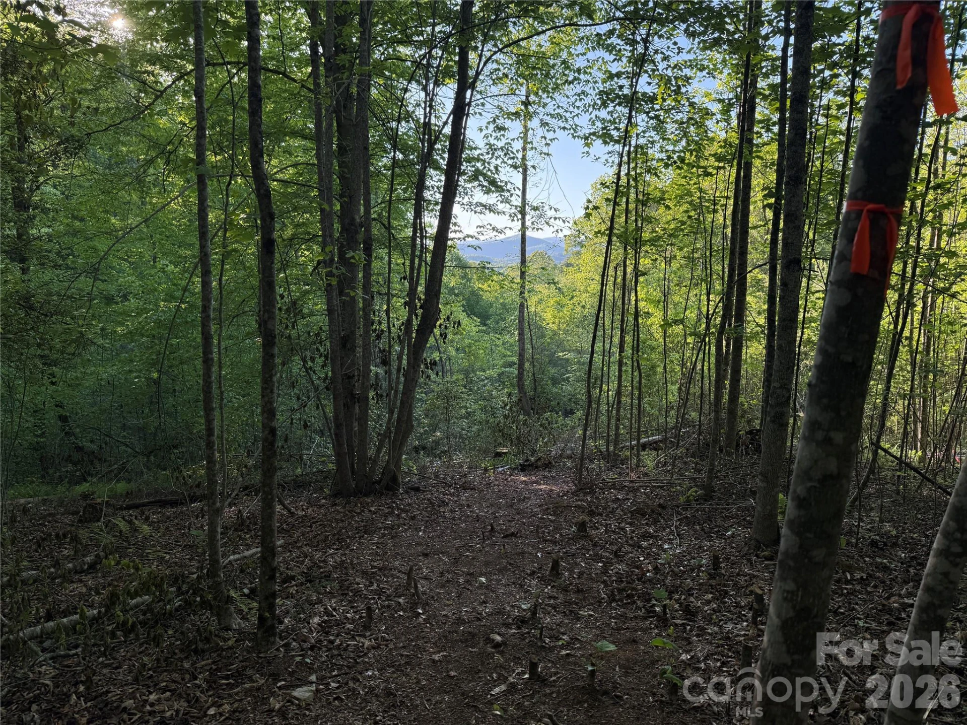 Lot # 6 West Legacy Drive #6 - Photo 24