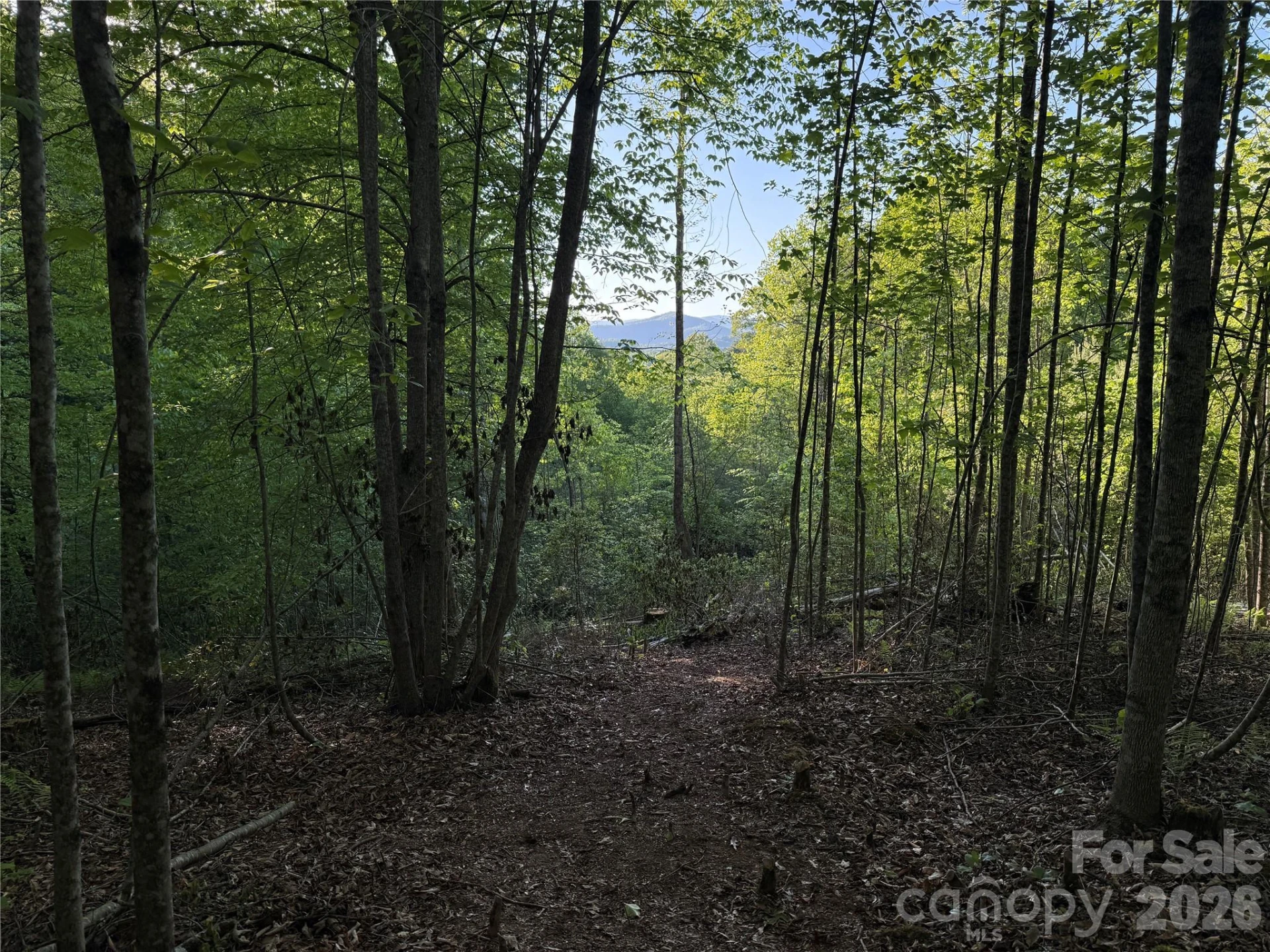 Lot # 6 West Legacy Drive #6 - Photo 27