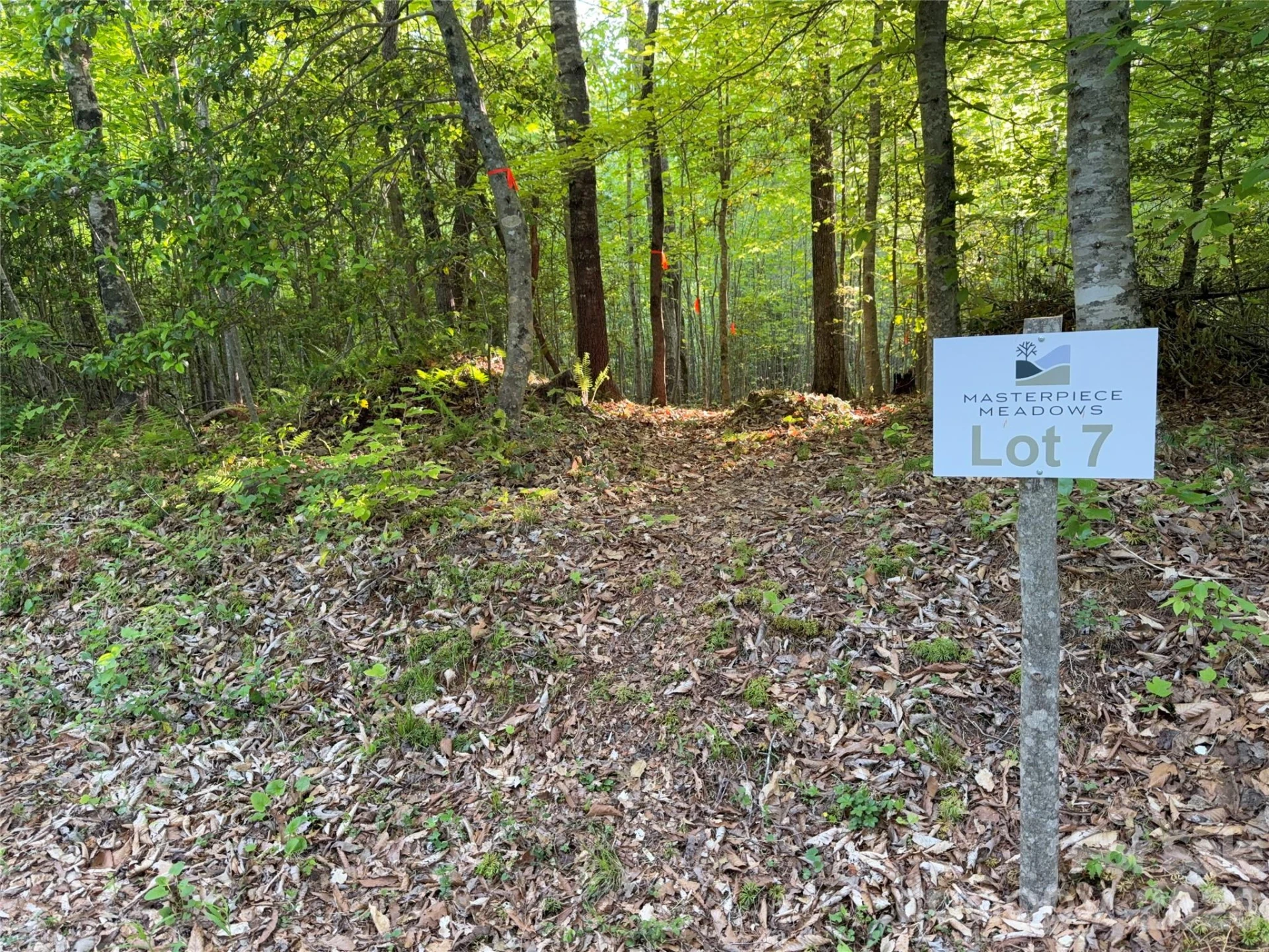 Lot # 7 West Legacy Drive #7 - Photo 4