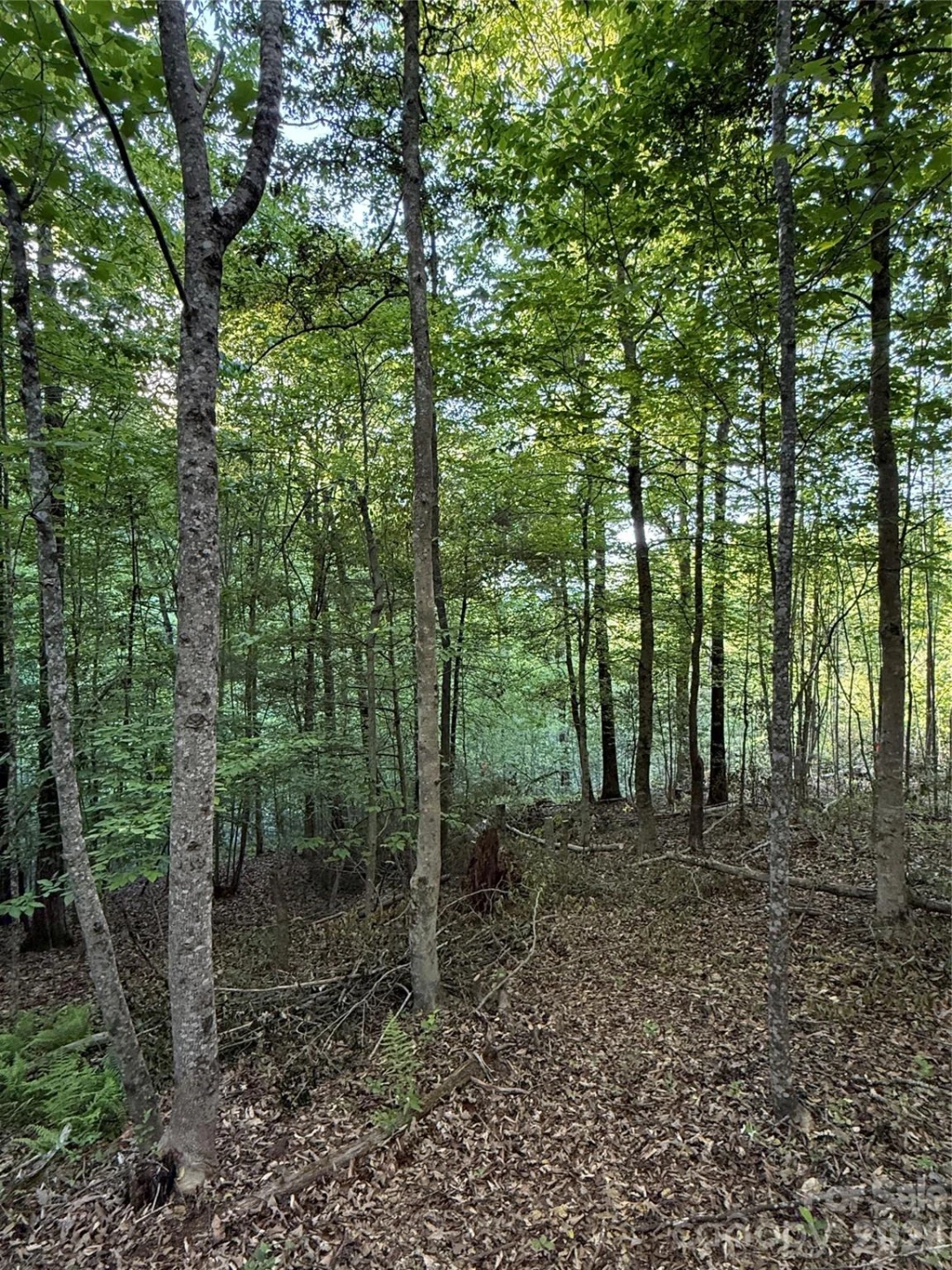 Lot # 7 West Legacy Drive #7 - Photo 35