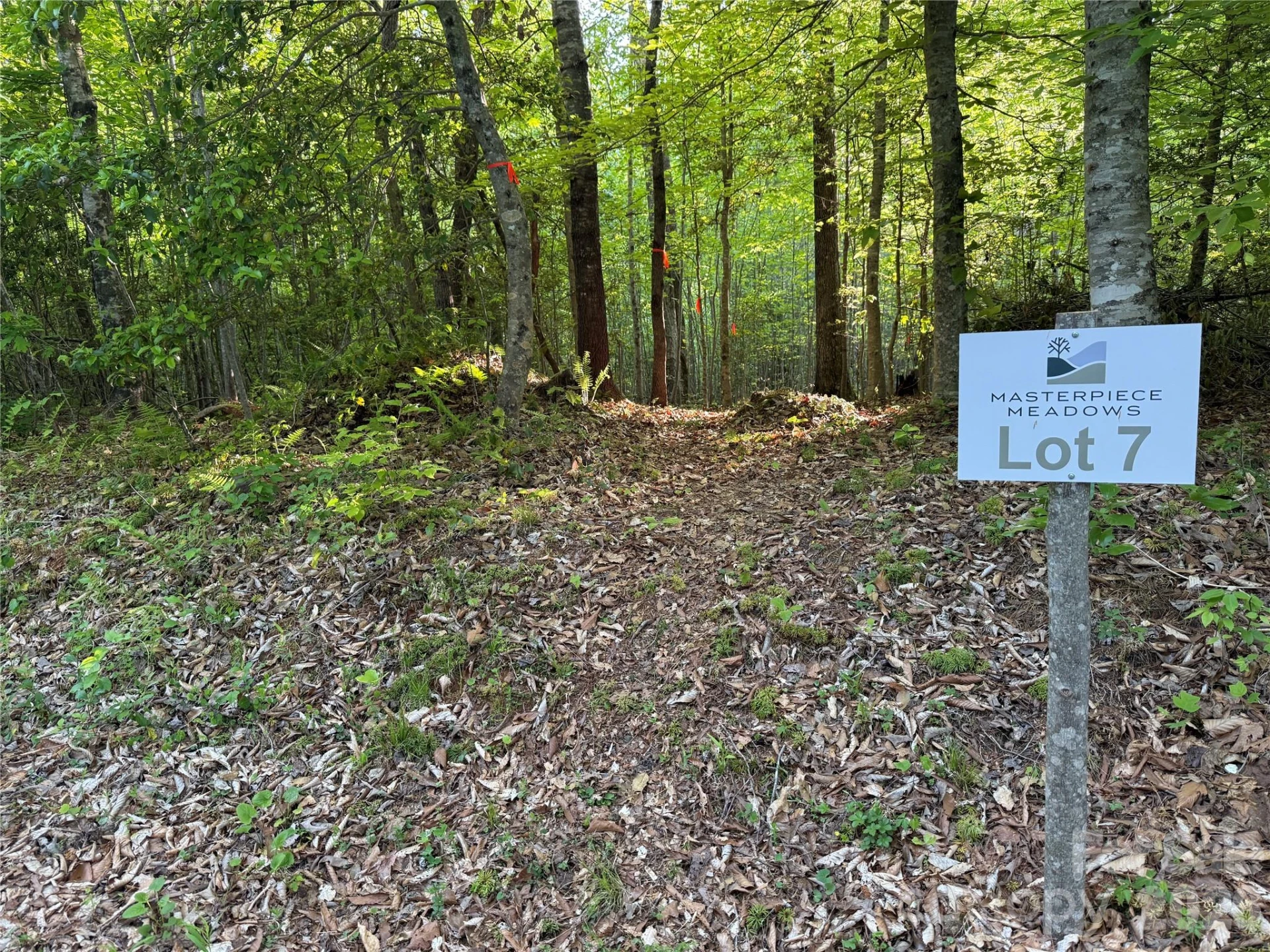 Lot # 7 West Legacy Drive #7 - Photo 51