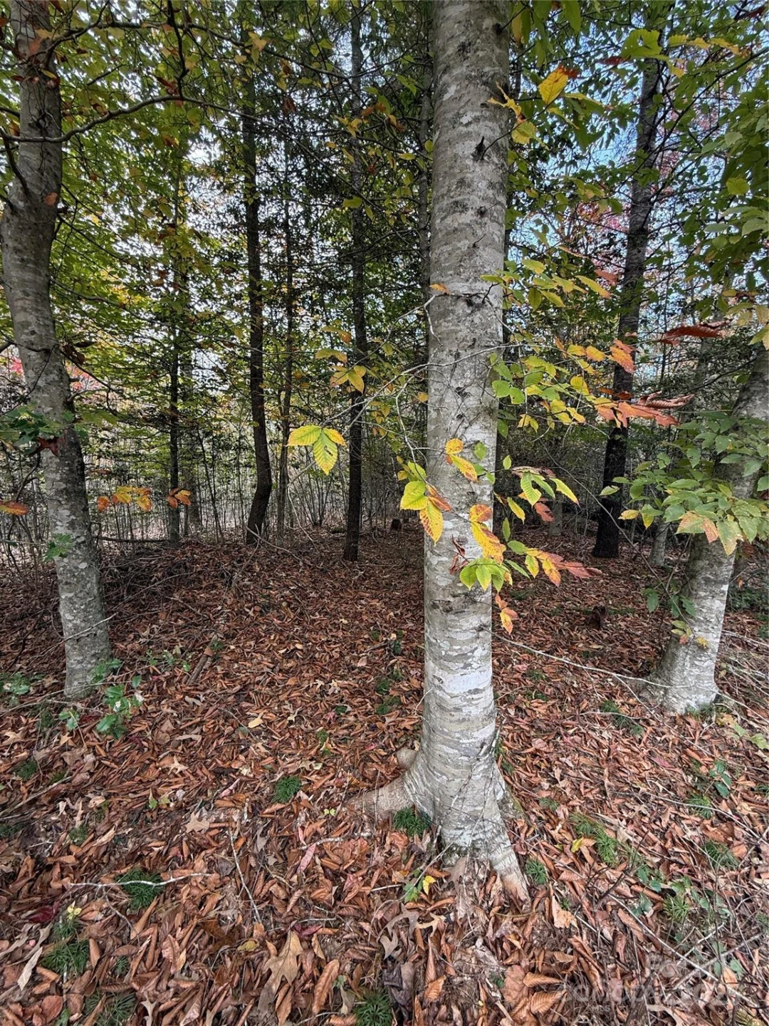 Lot # 7 West Legacy Drive #7 - Photo 86