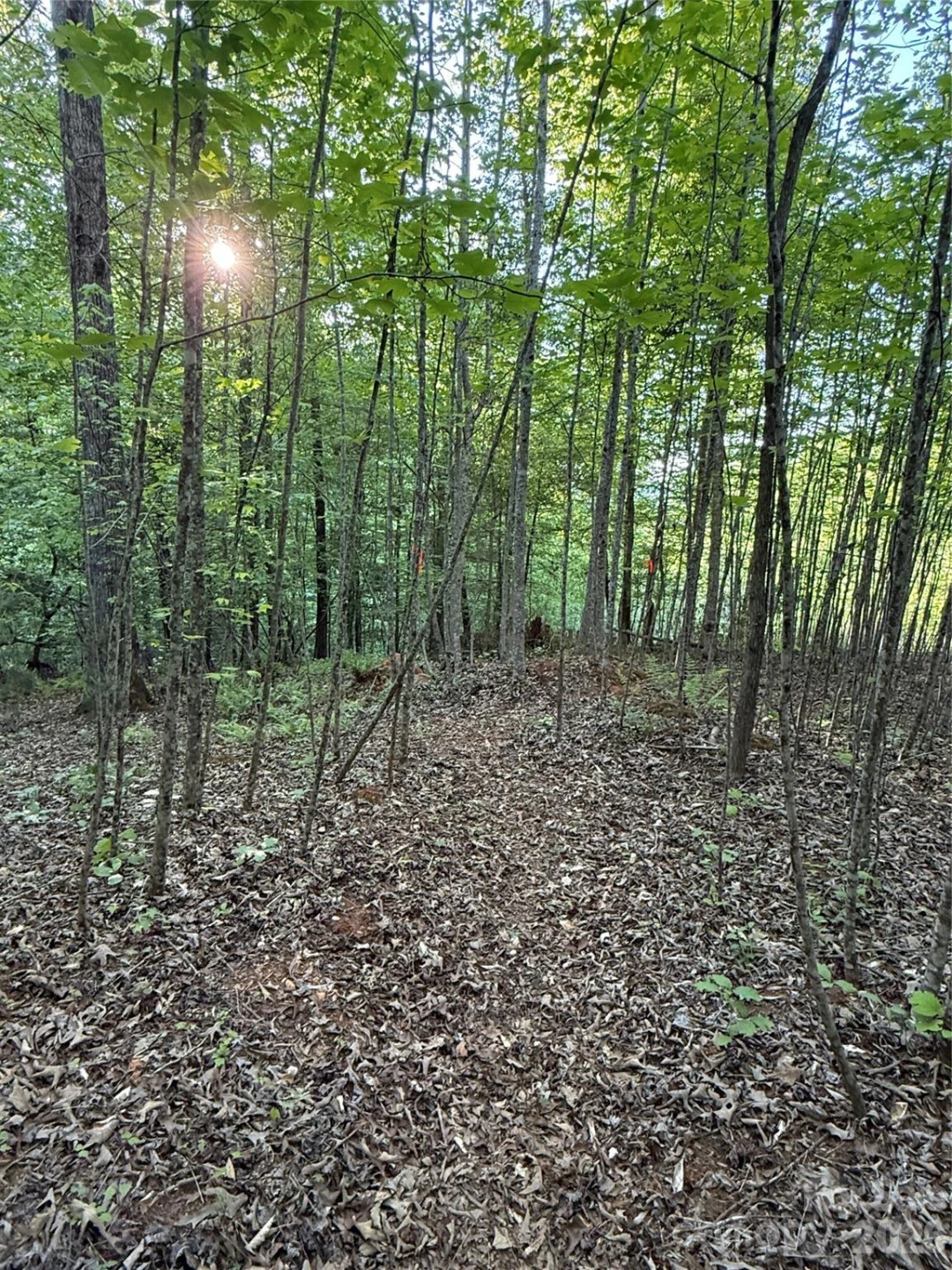Lot # 7 West Legacy Drive #7 - Photo 11