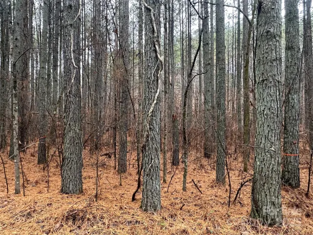 0 Frog Creek Road, Union Mills, NC, 28167