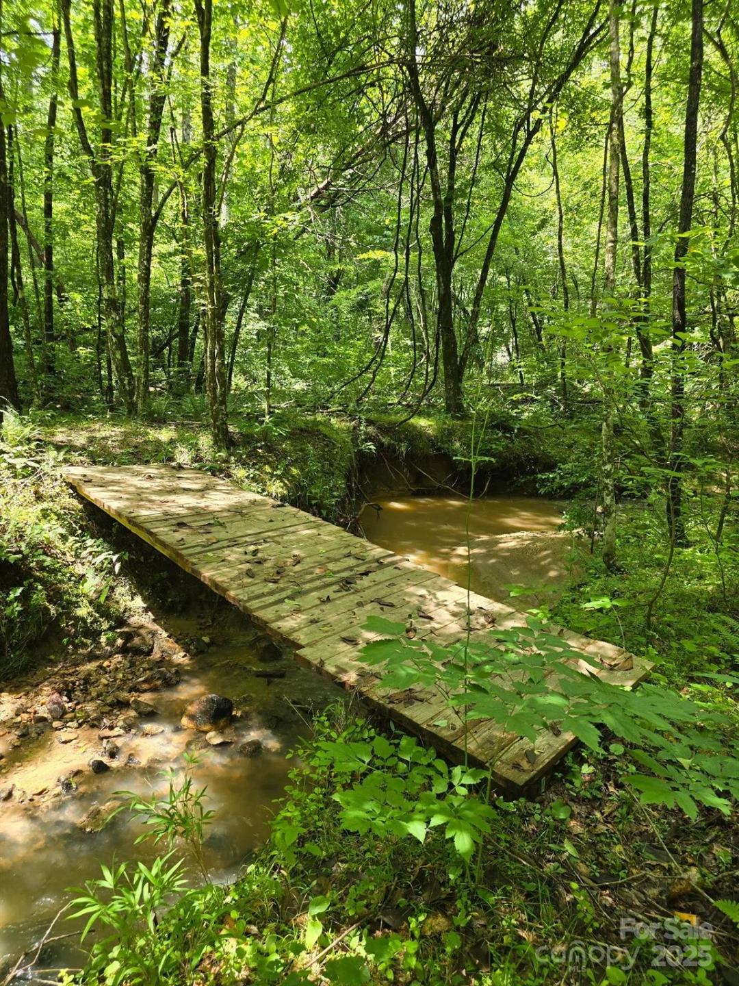 0 Frog Creek Road - Photo 3