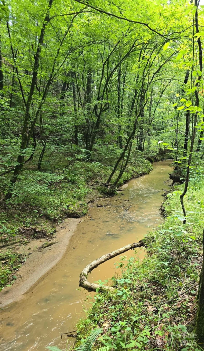 0 Frog Creek Road - Photo 6