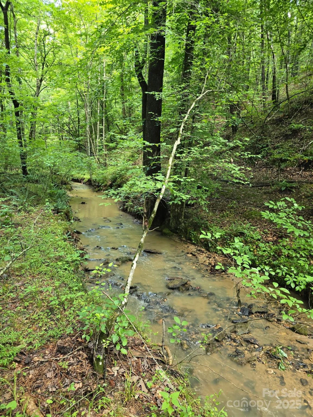 0 Frog Creek Road - Photo 7