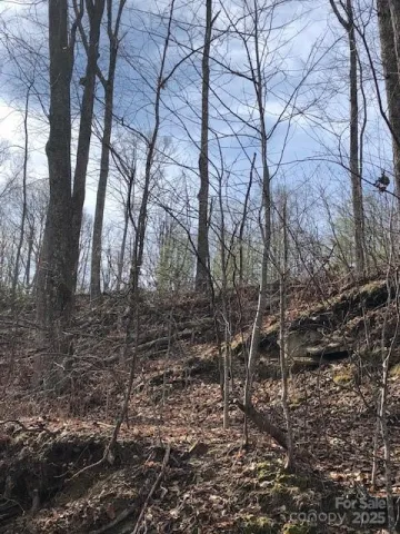 000 Butler Ridge Trail