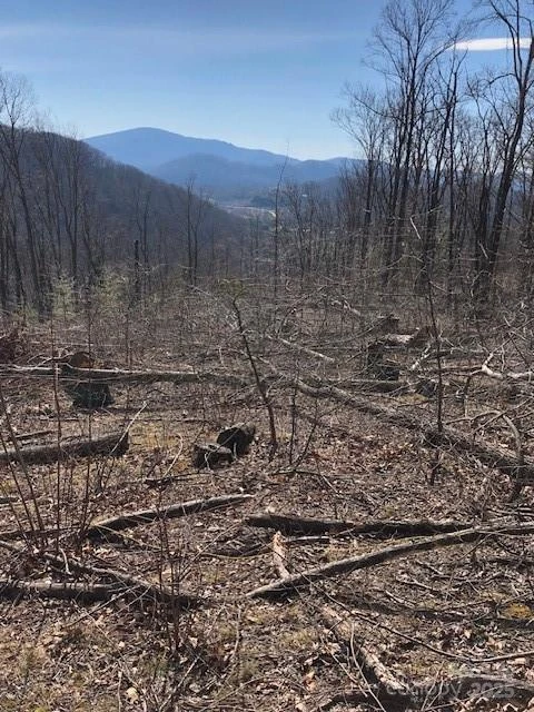 000 Butler Ridge Trail #27 - Photo 3